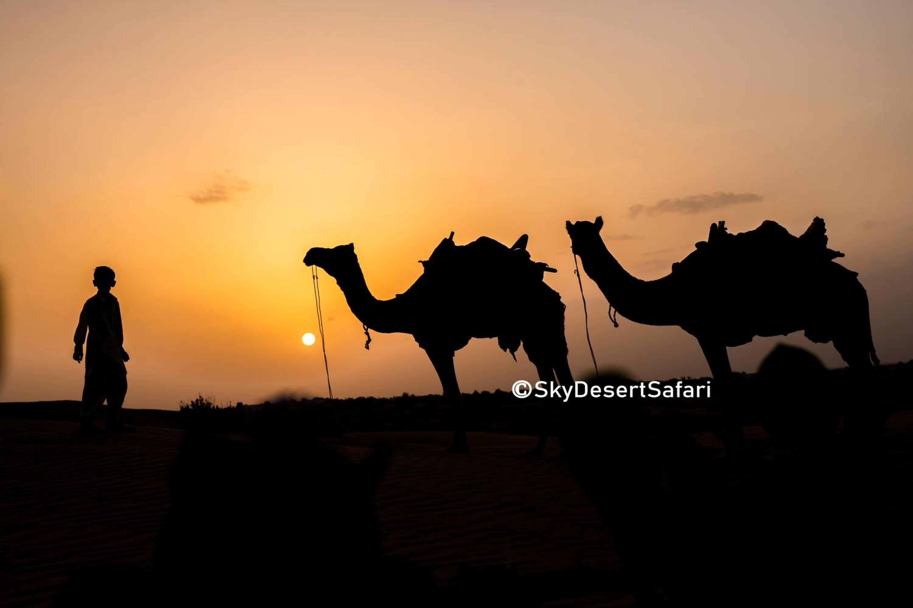 Jaisalmer Desert Camp Sam Sand