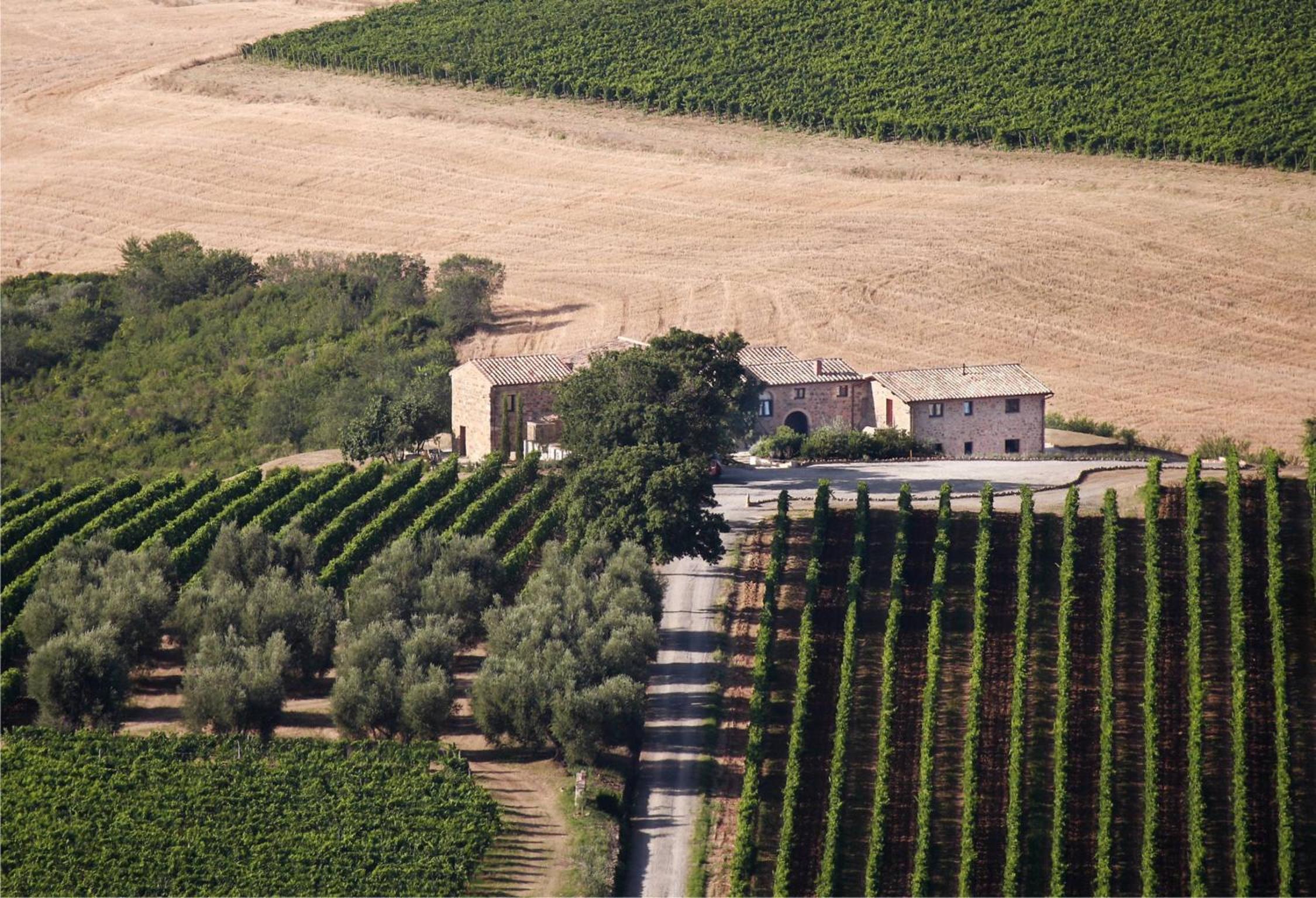 Agriturismo Il Poggione view 5