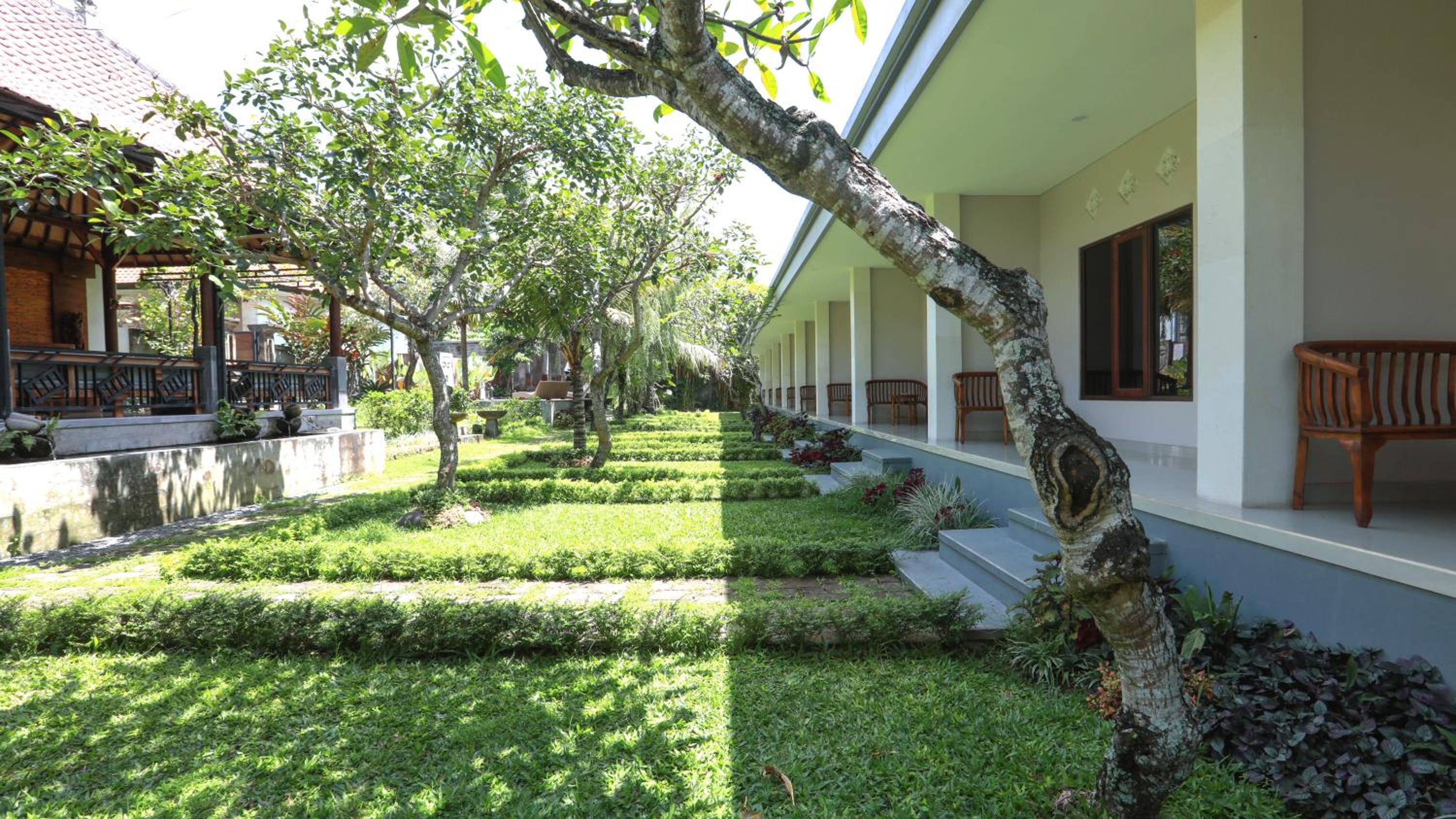 Photo 133