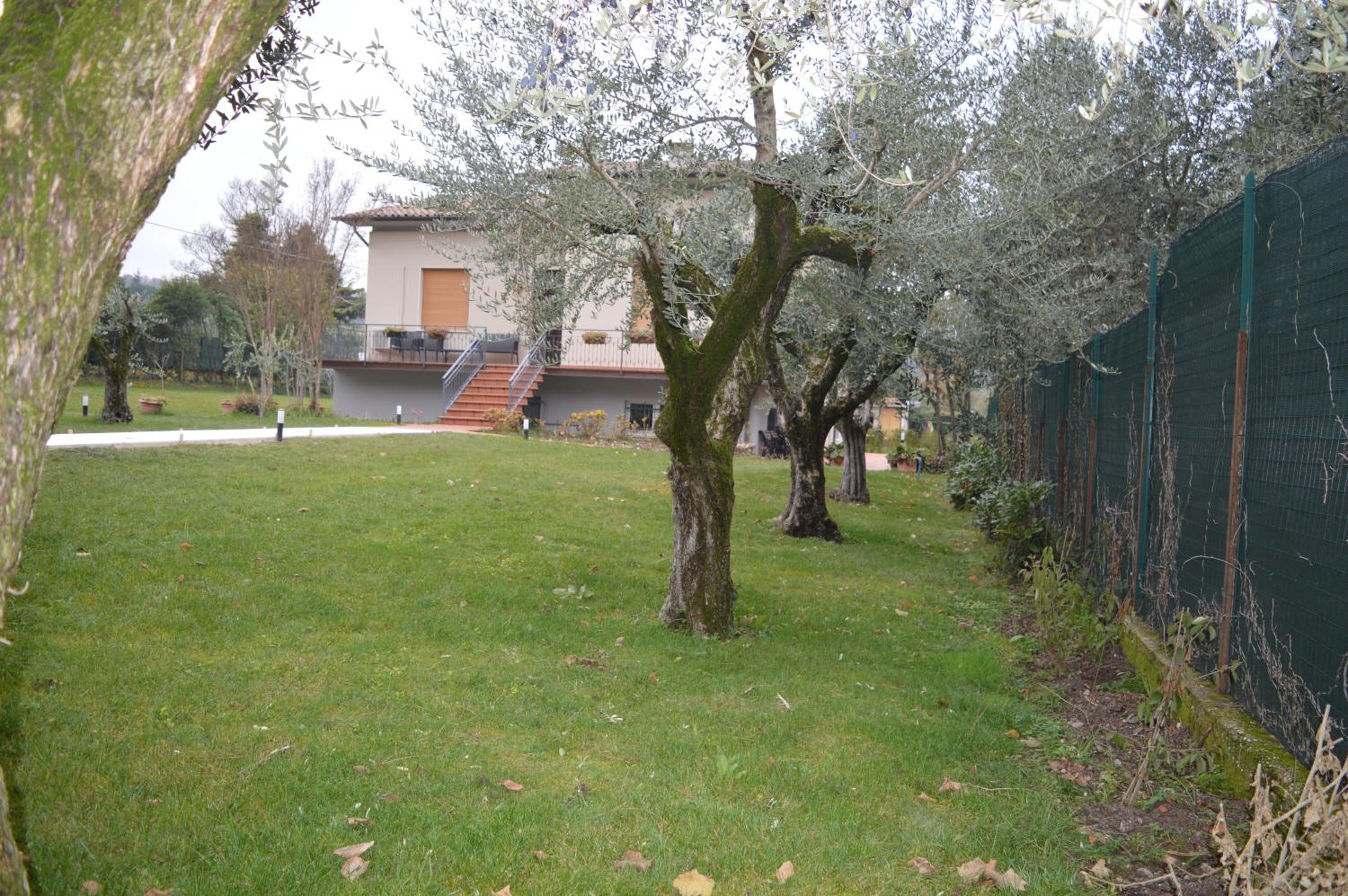 Photo 39