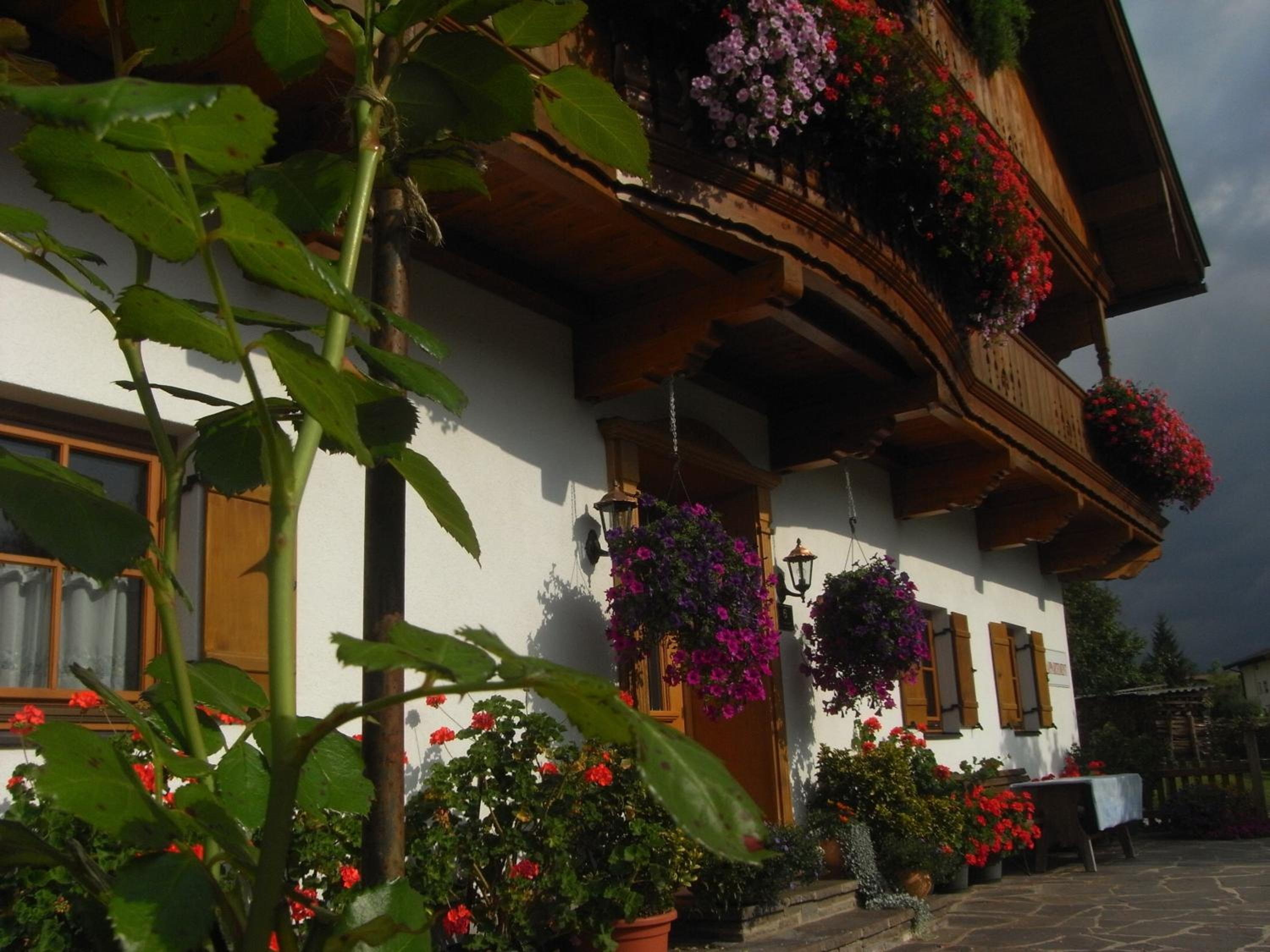 Hofbauer