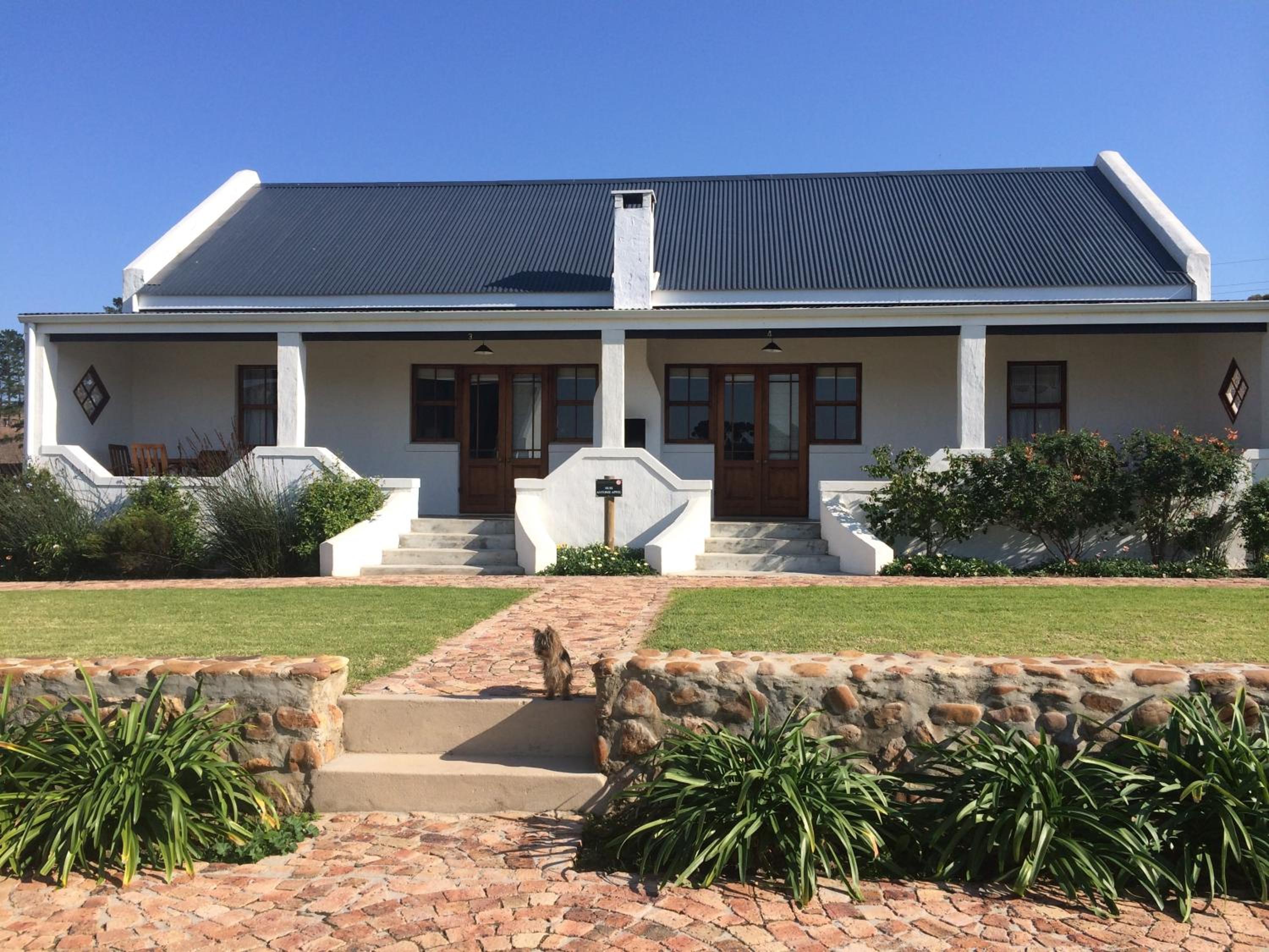 Endless Vineyards at Wildekrans Wine Estate