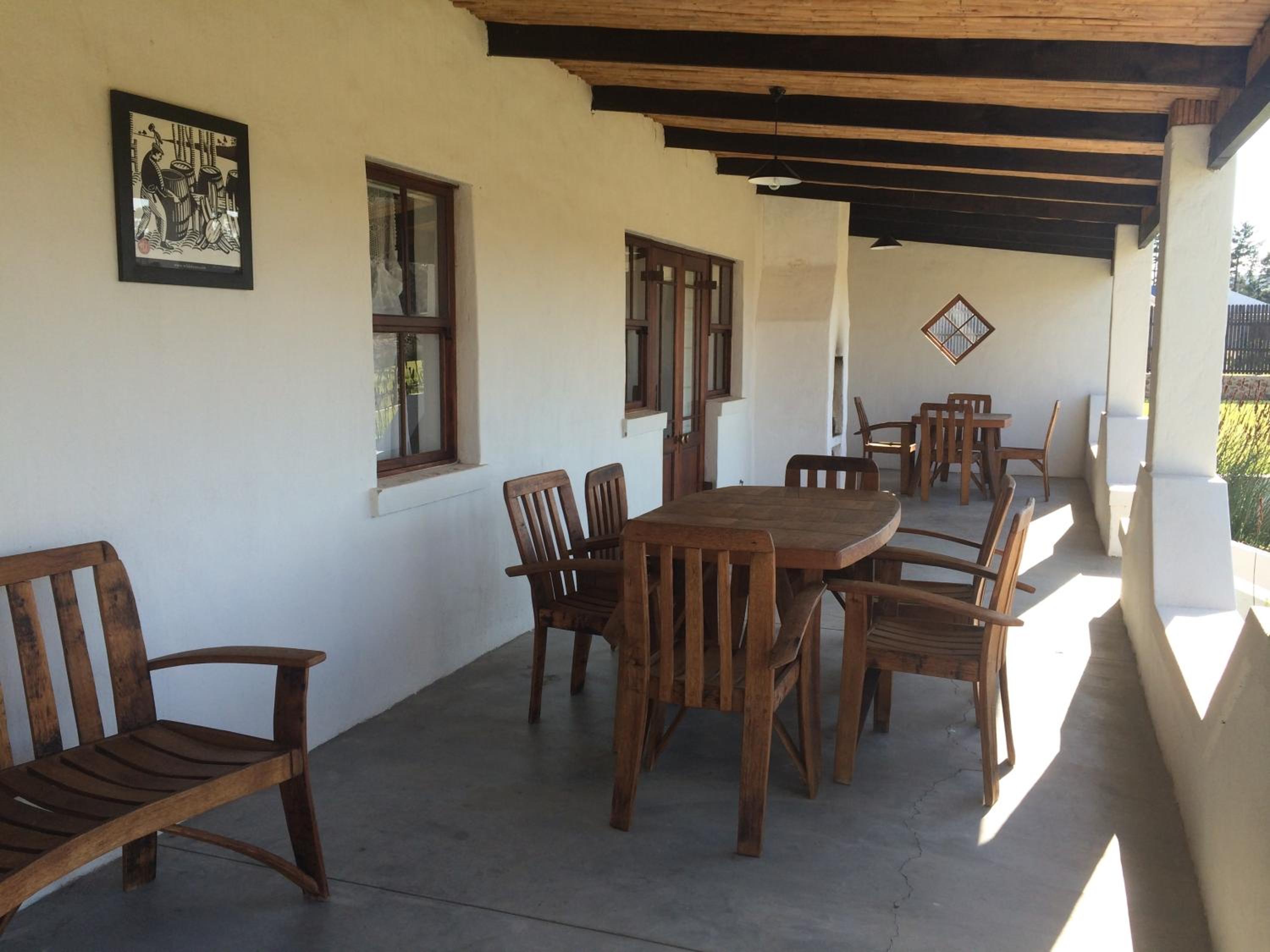 Endless Vineyards at Wildekrans Wine Estate