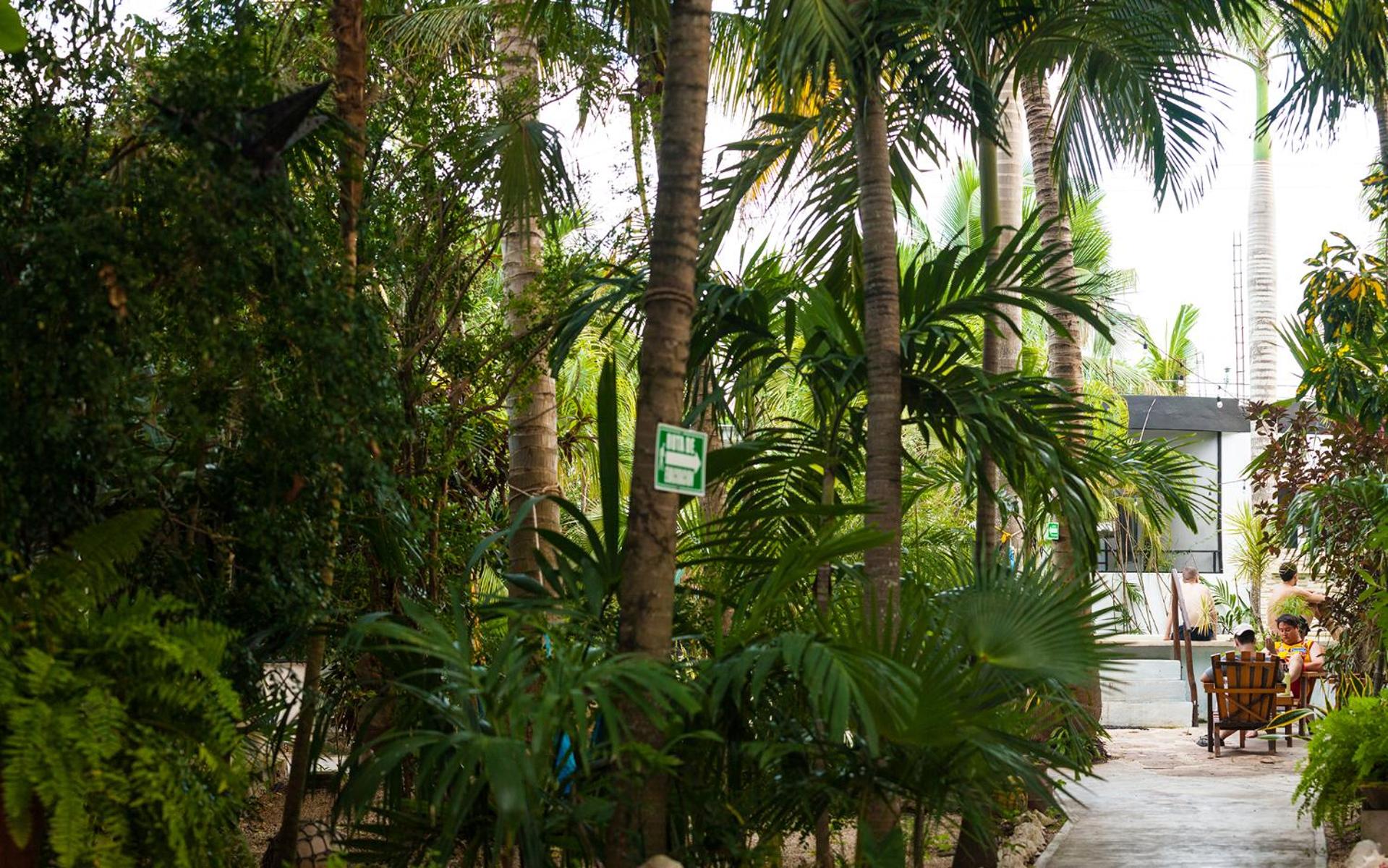 Hostel Oryx Tulum