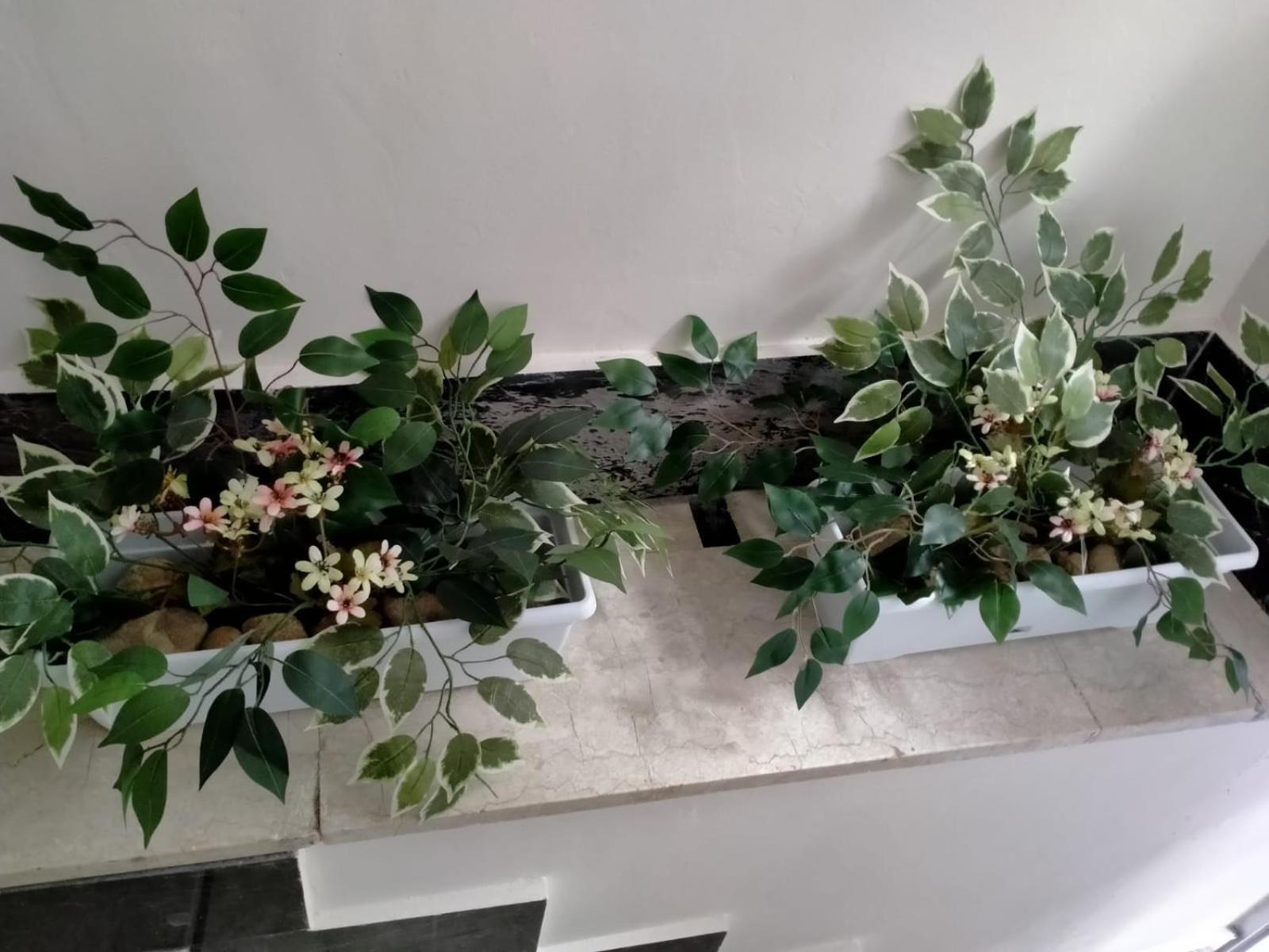 Casa Angela photo 2