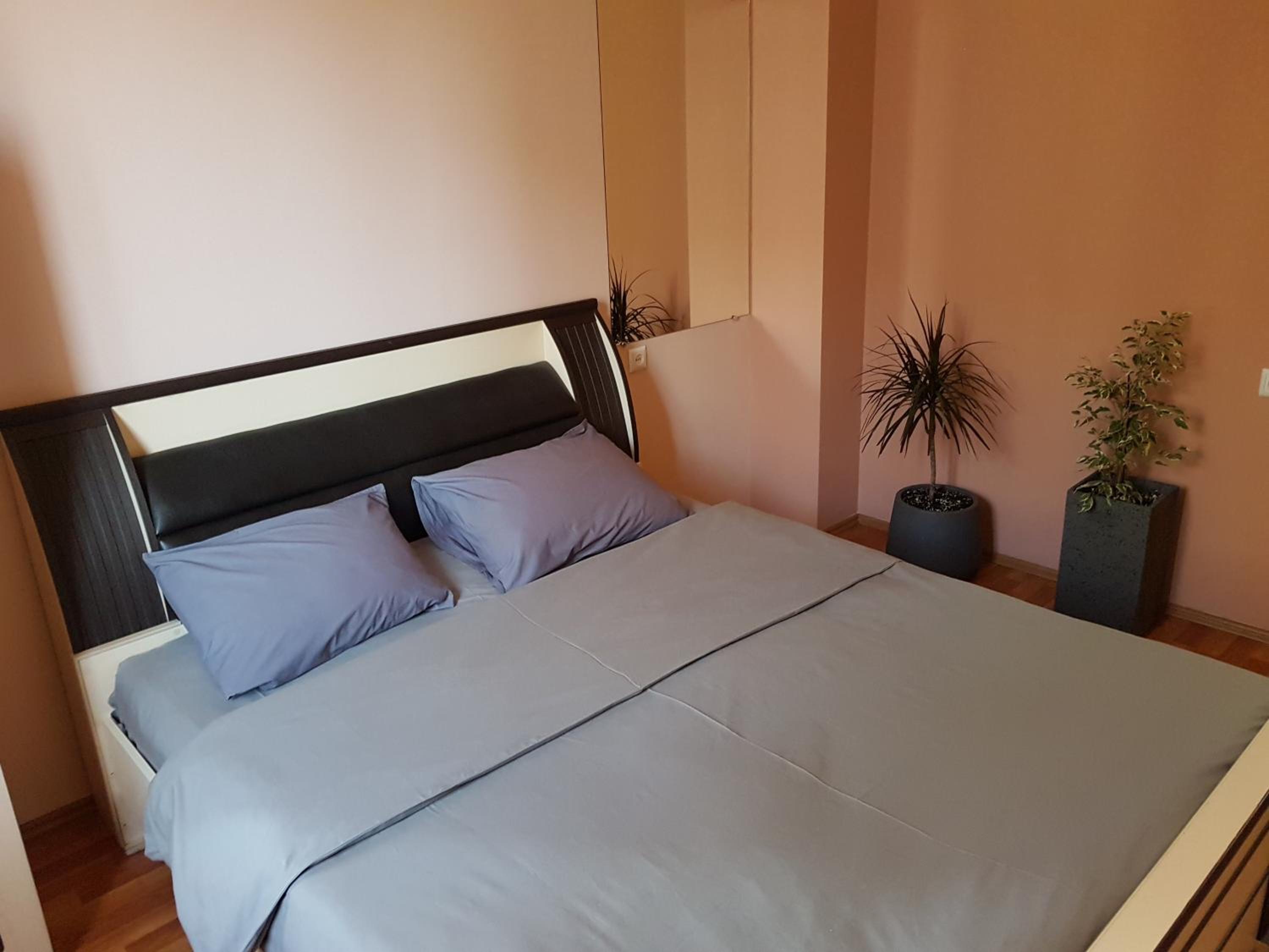 Arm Hostel