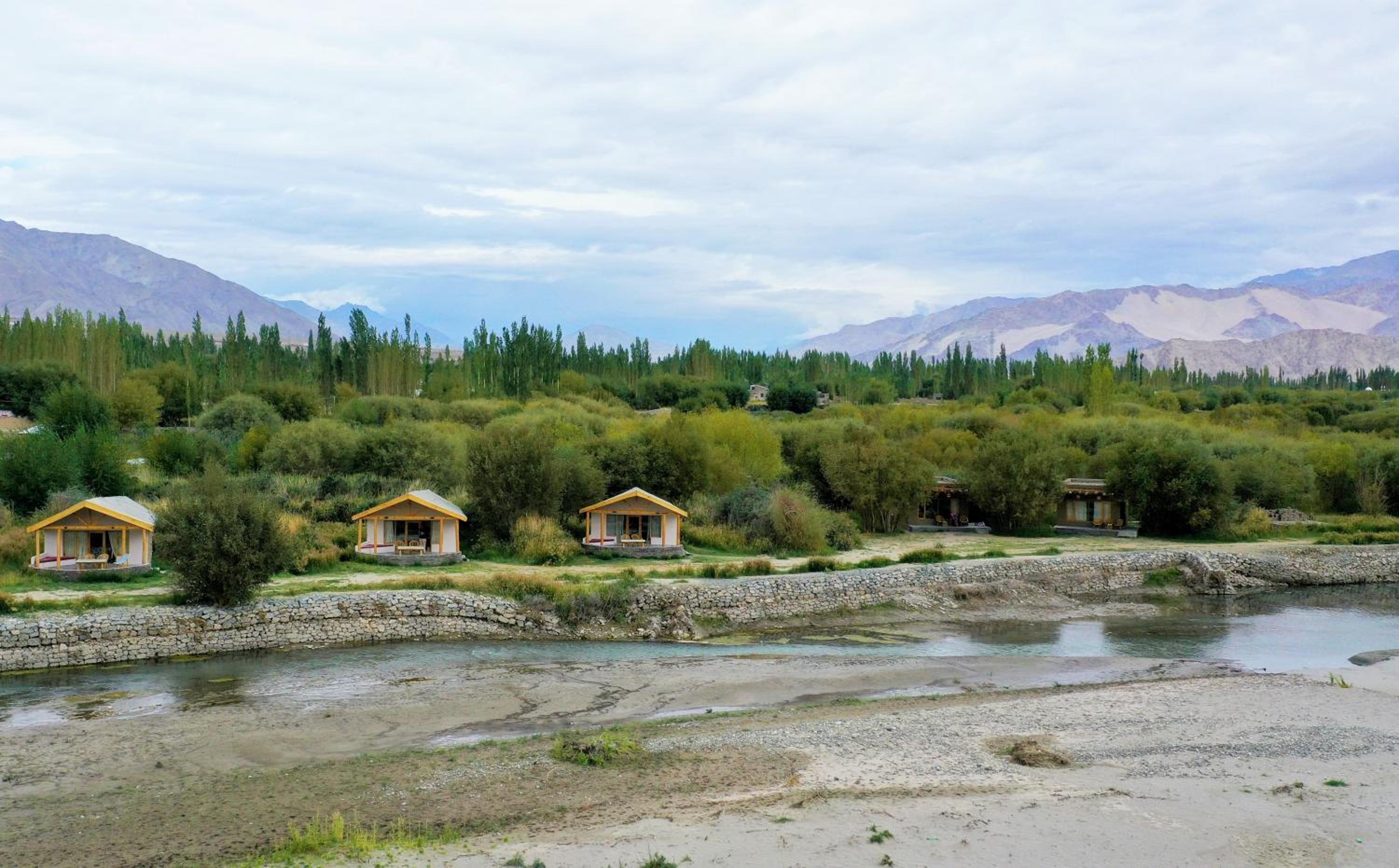 Photo 43