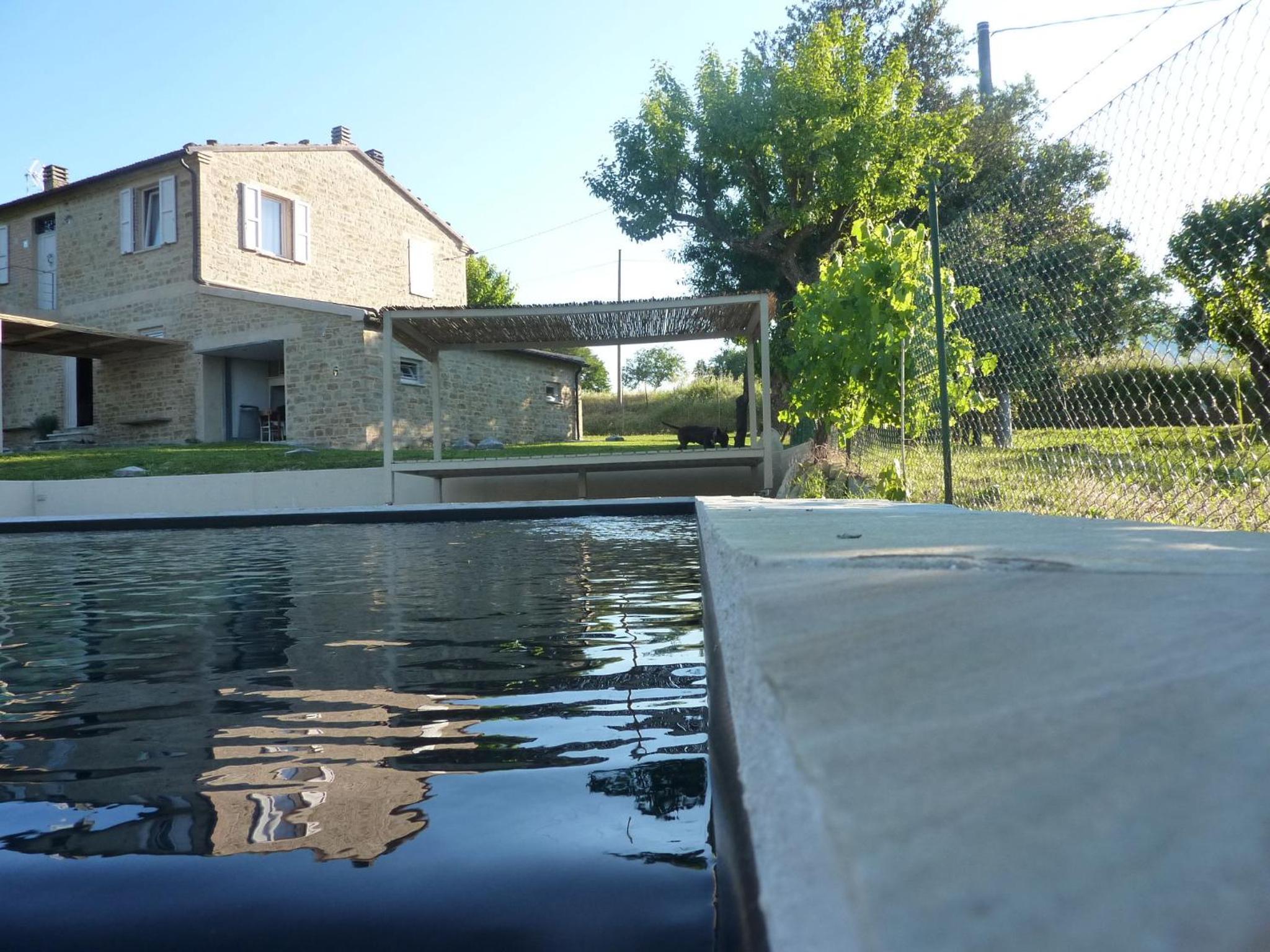 Photo 40