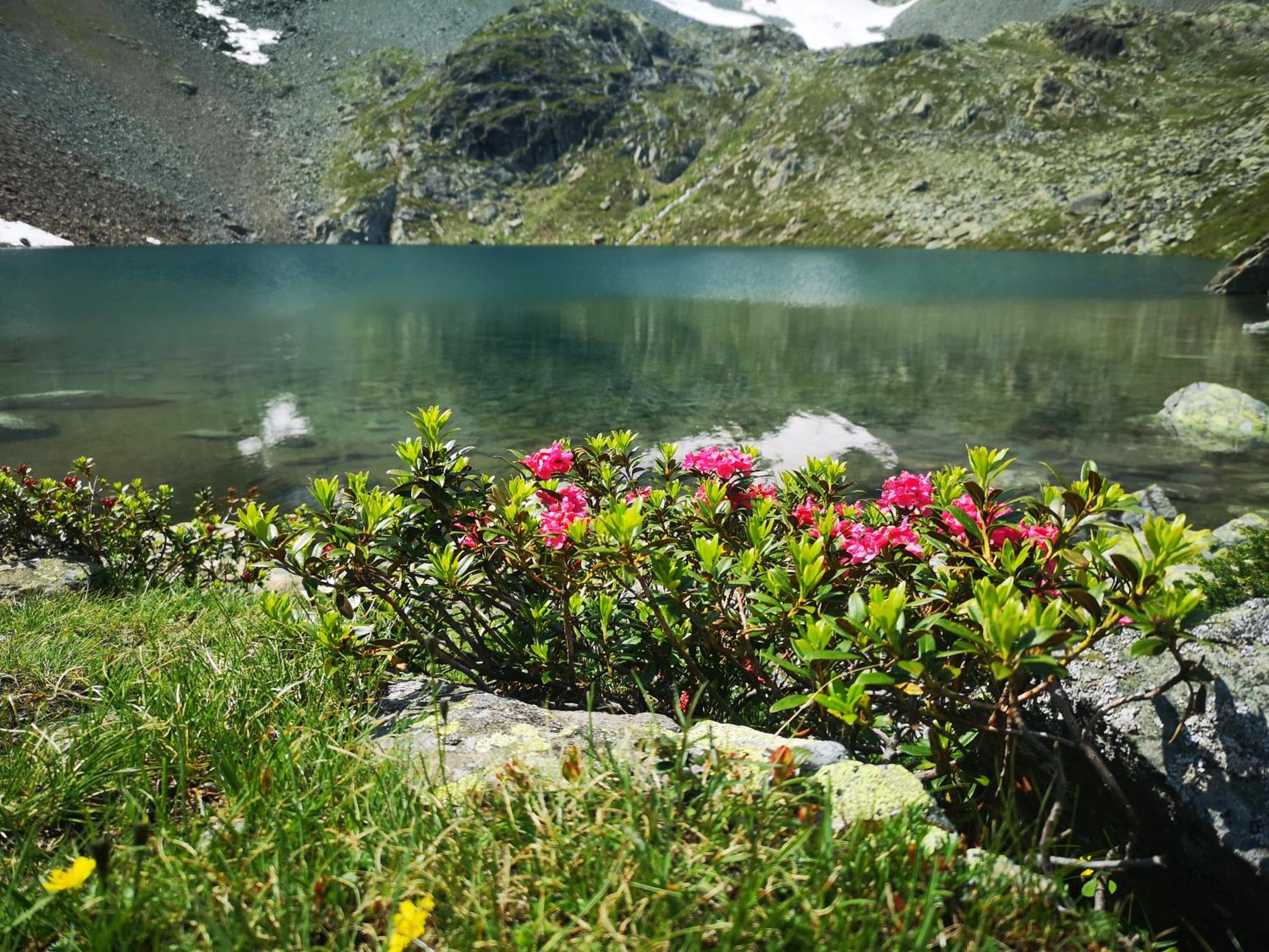 Photo 19