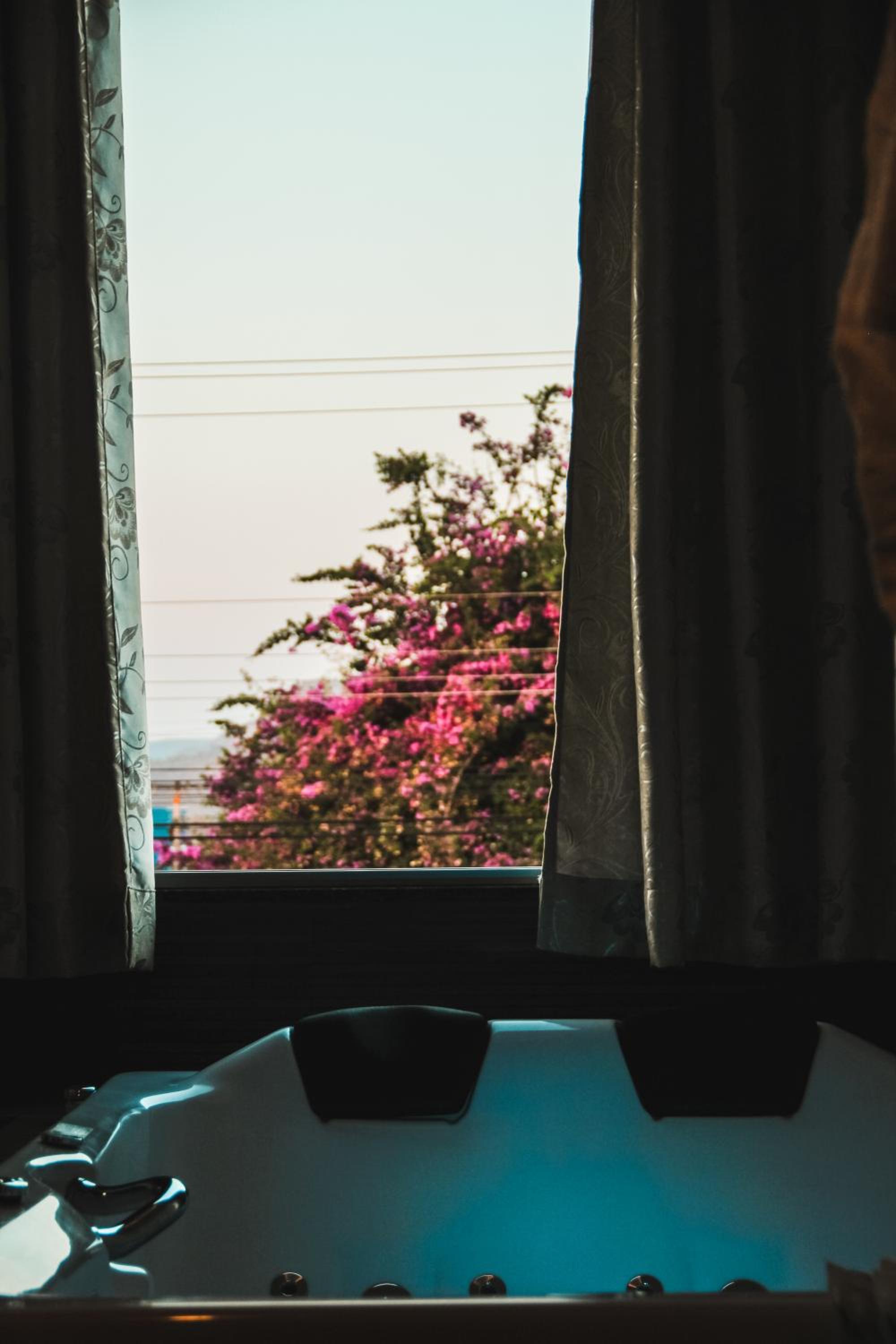 Pousada Araras, photo 24