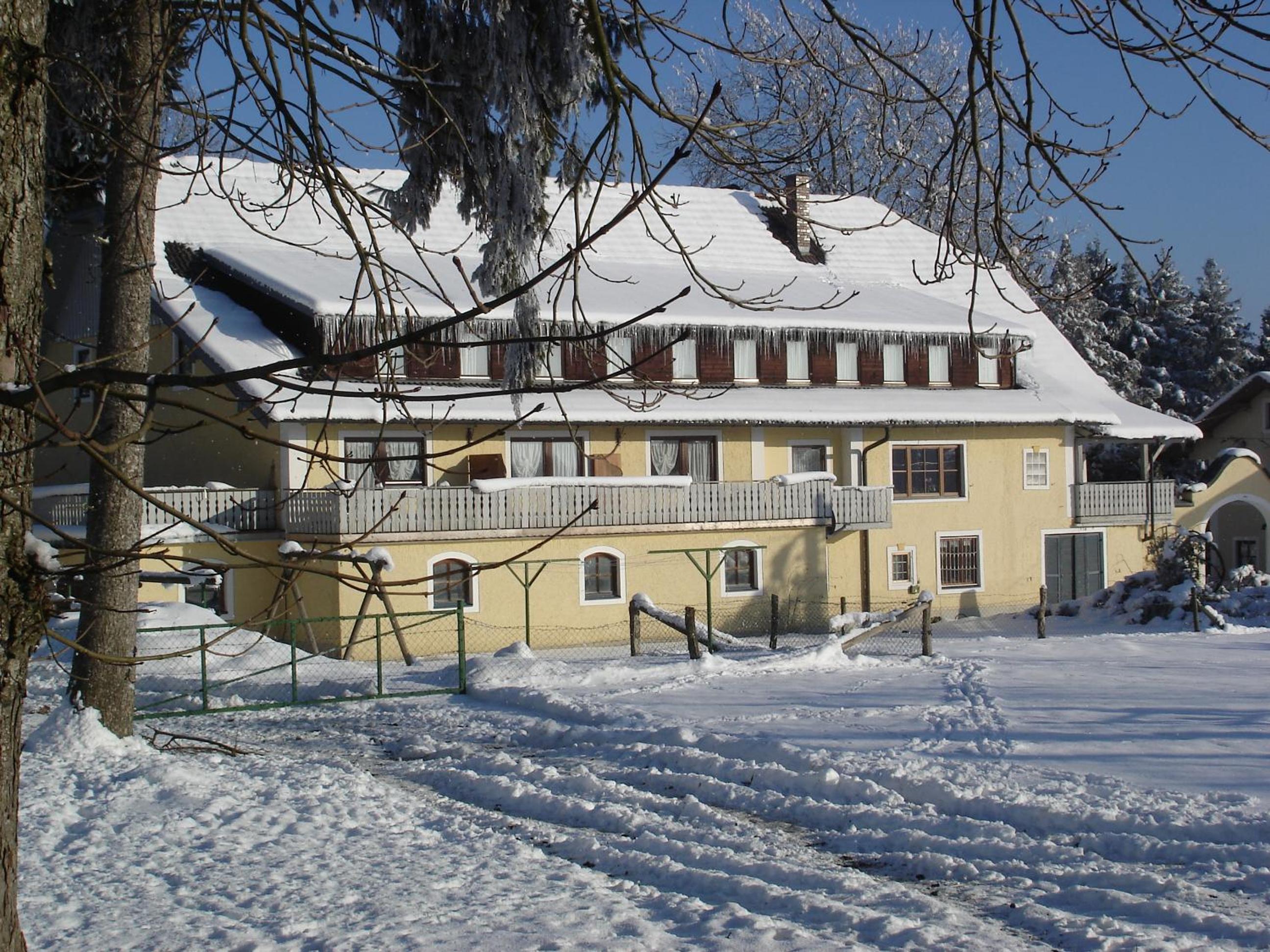 Photo 31