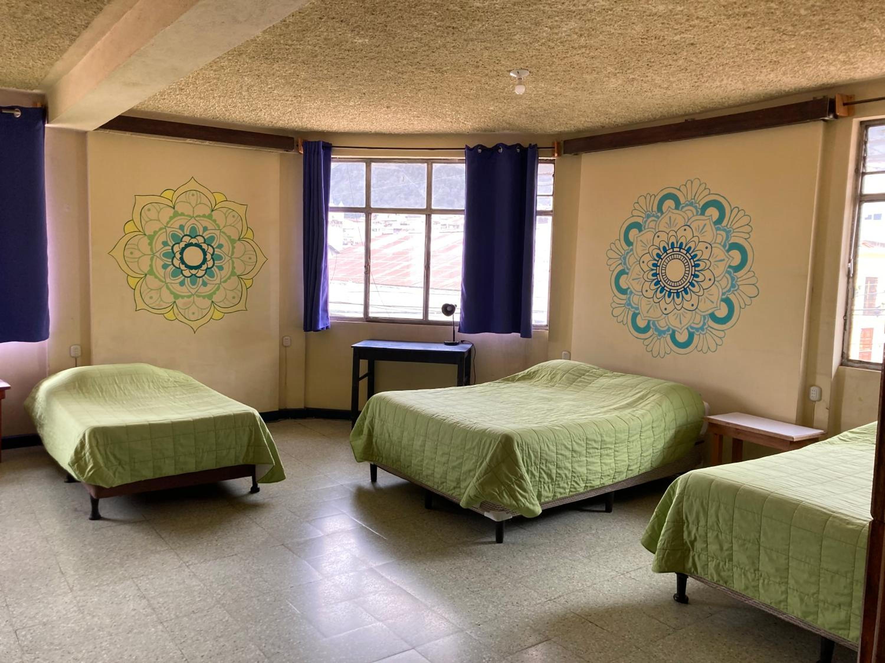 Kasa Kiwi Hostel & Travel Agency