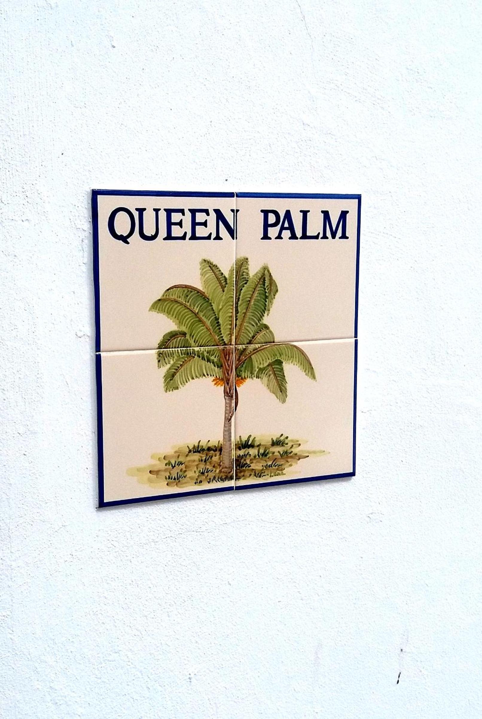 Queen Palm view 3