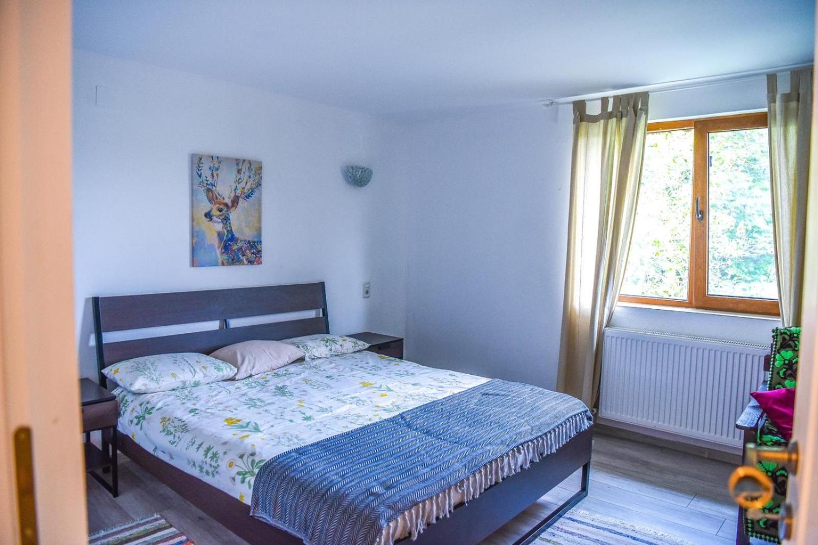 Pensiunea Silva Home view 2