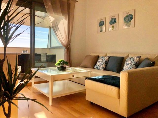 GATU PREMIUM Ático Parra, parking, piscina común, terraza, wifi , " Preferente mayores de 25 años y familias " photo 1