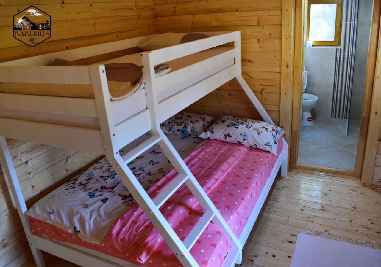 Photo 42