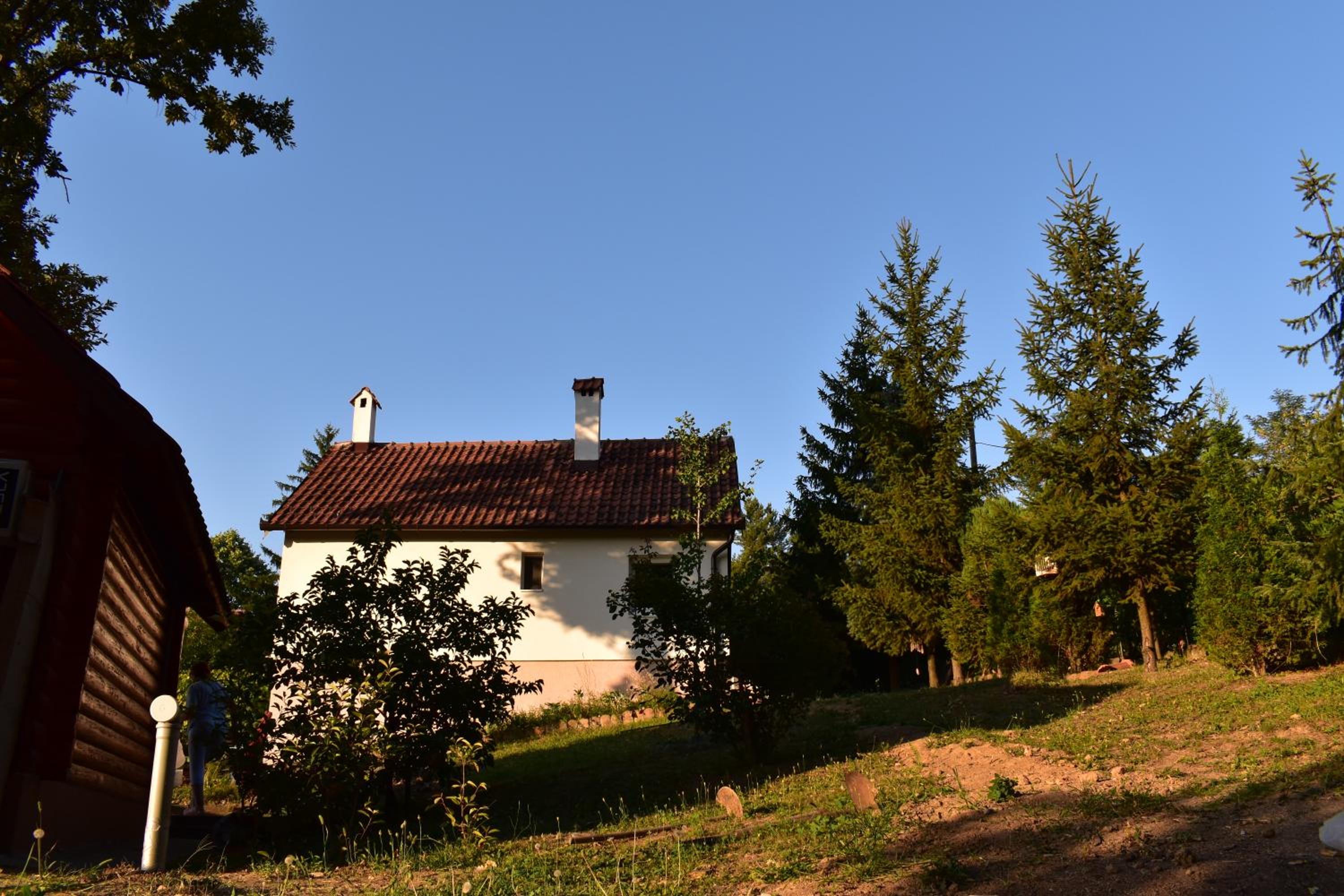 Photo 11