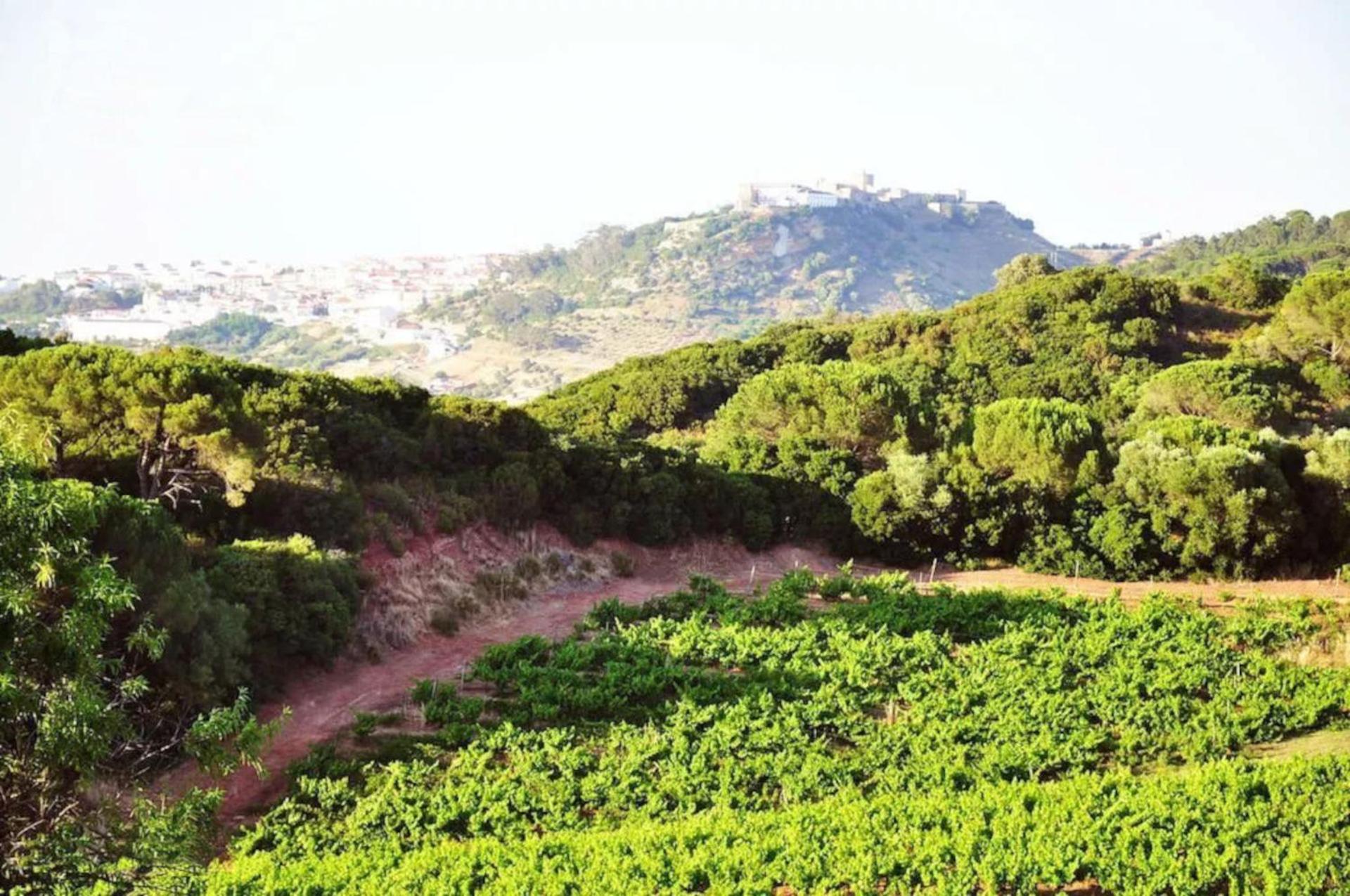 Fabulosa Quinta do Vento view 3