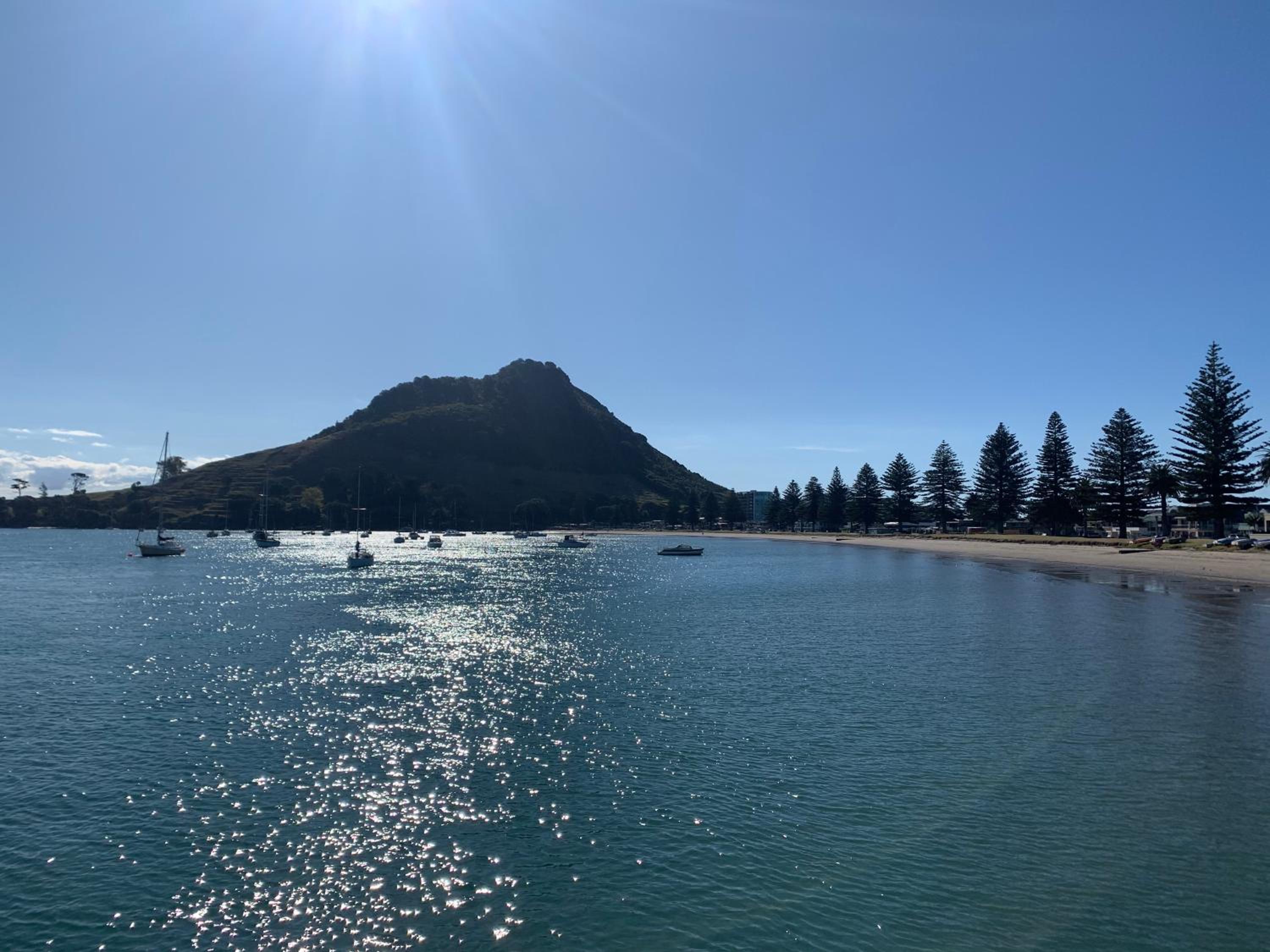 Mount Backpackers