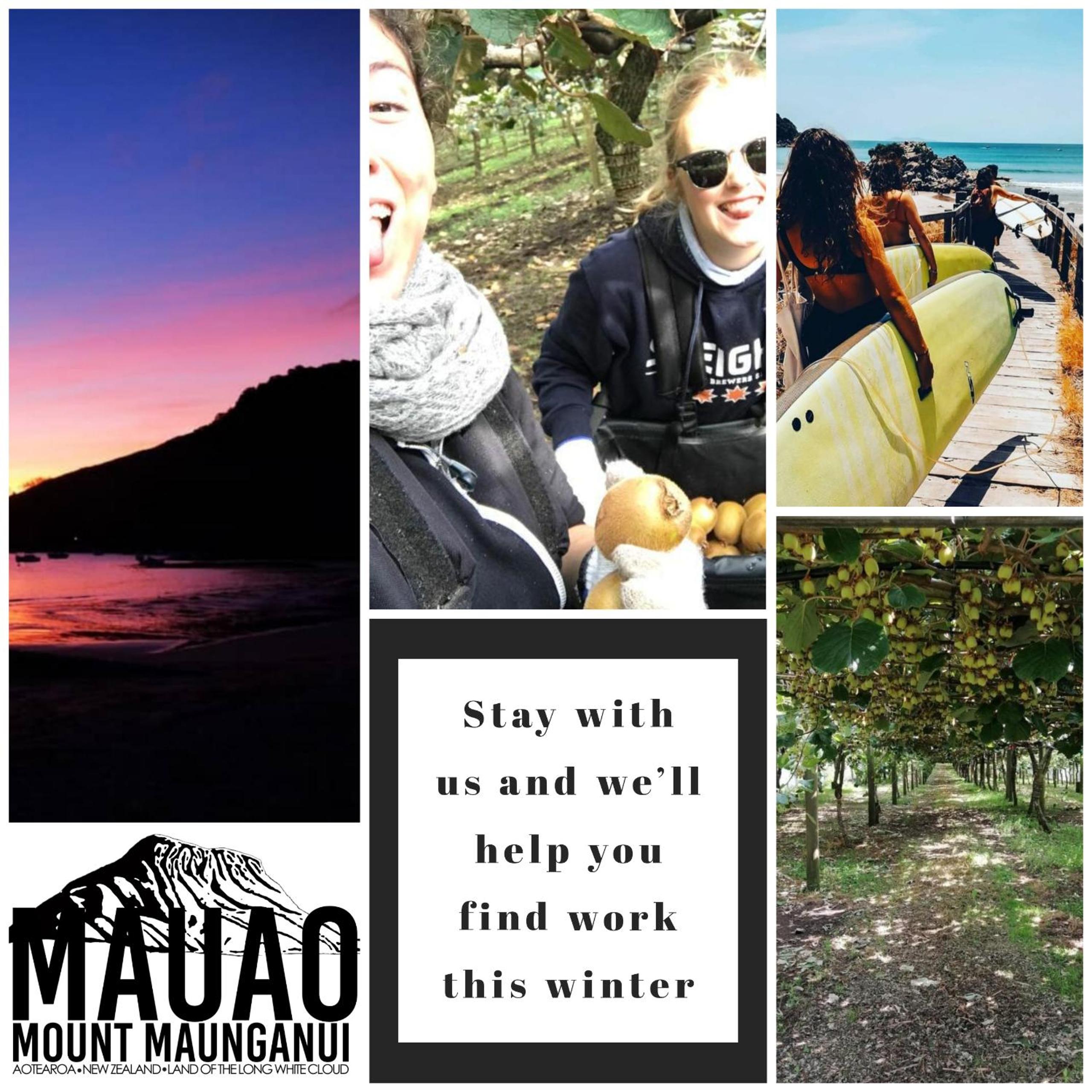 Mount Backpackers