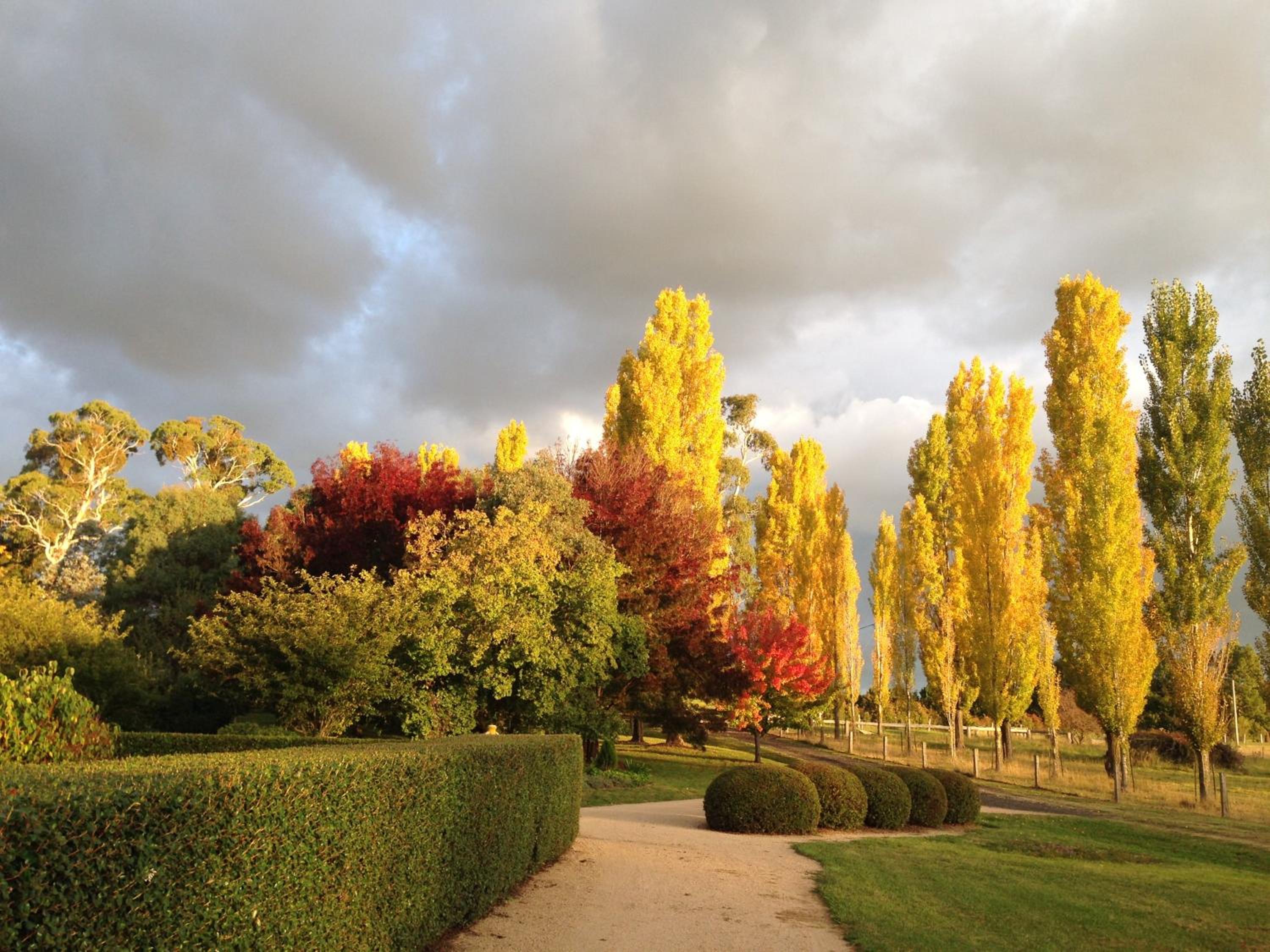 Glen Waverly Farmstay
