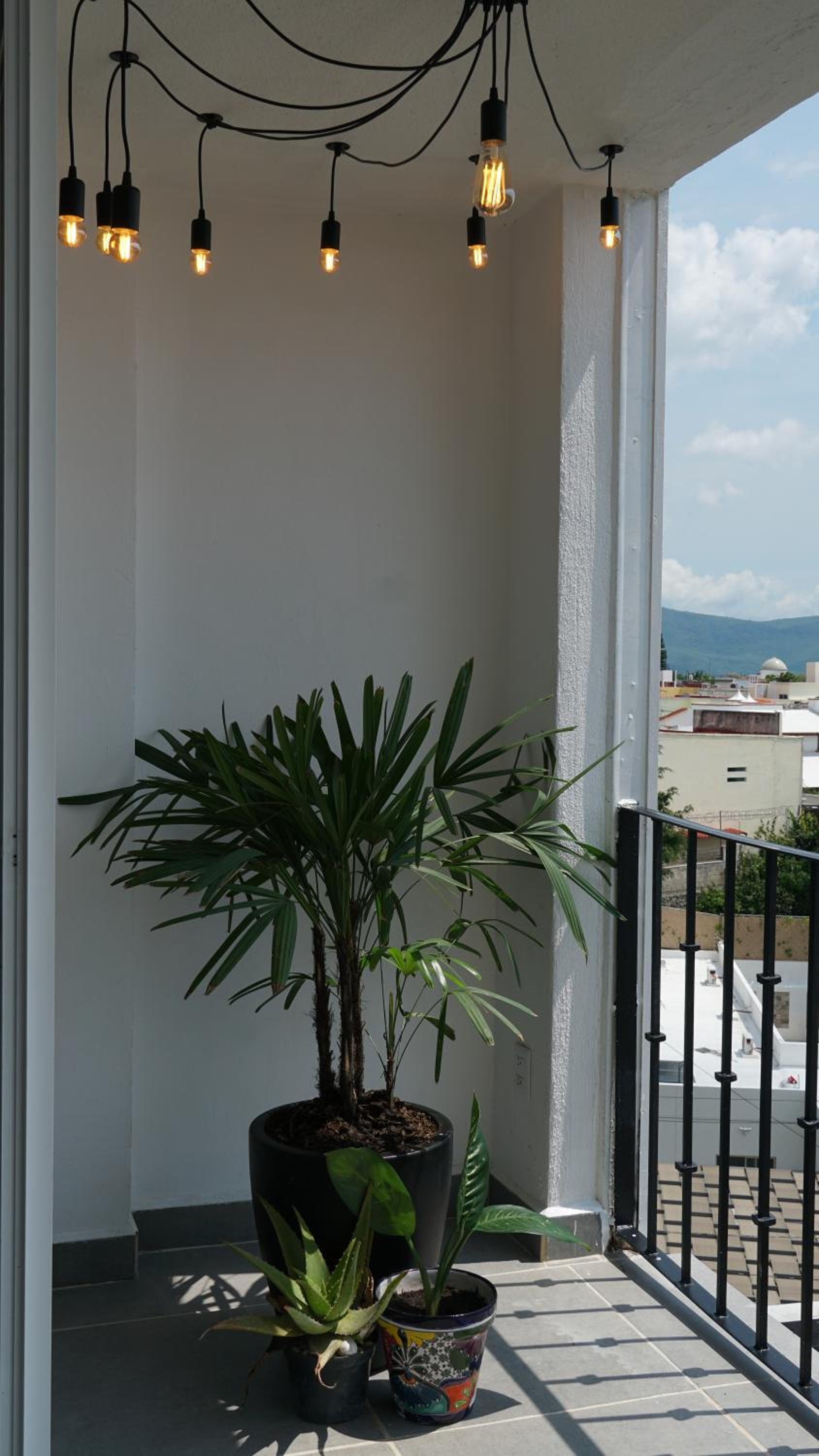 Photo 43