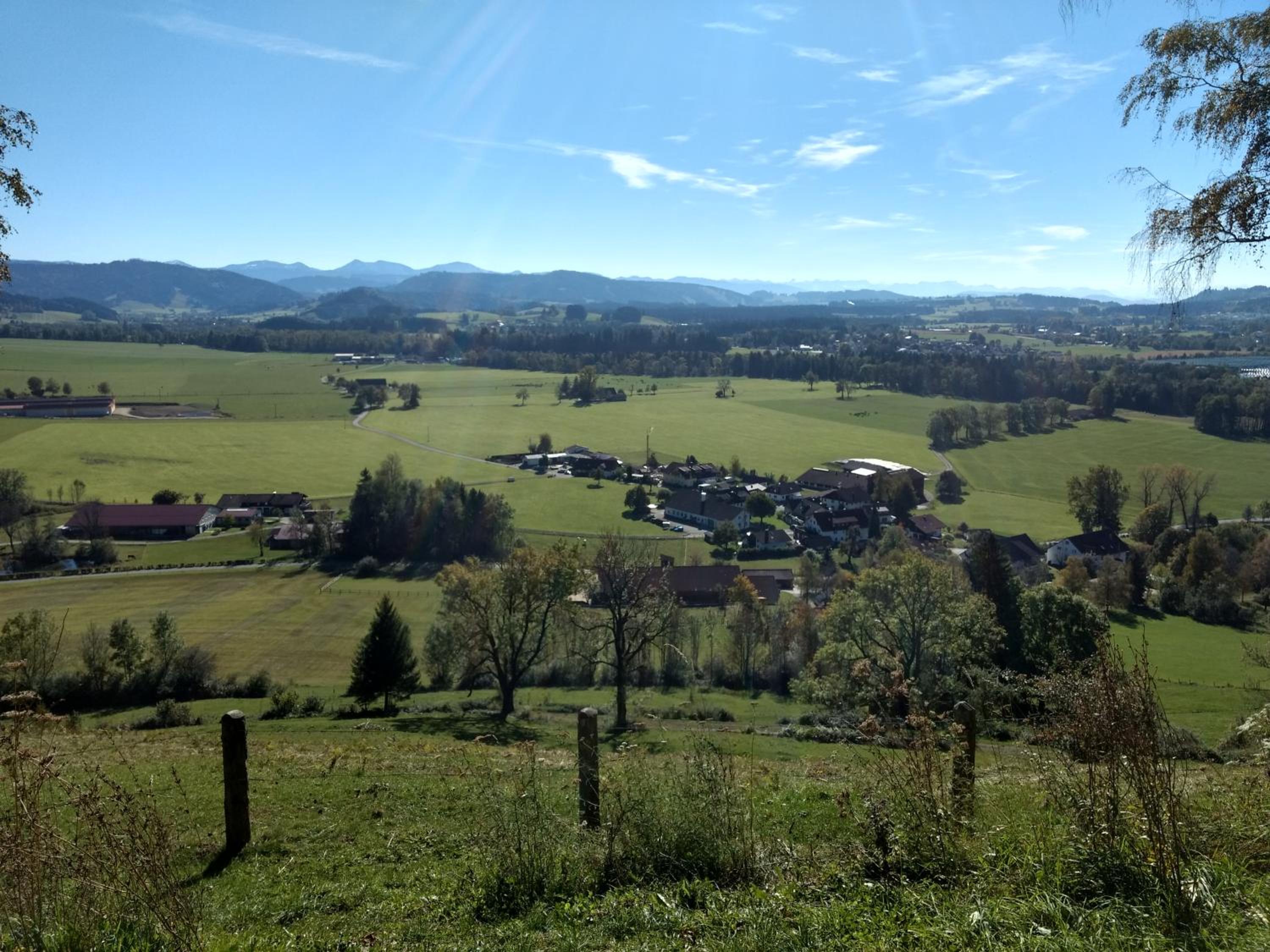 Photo 25