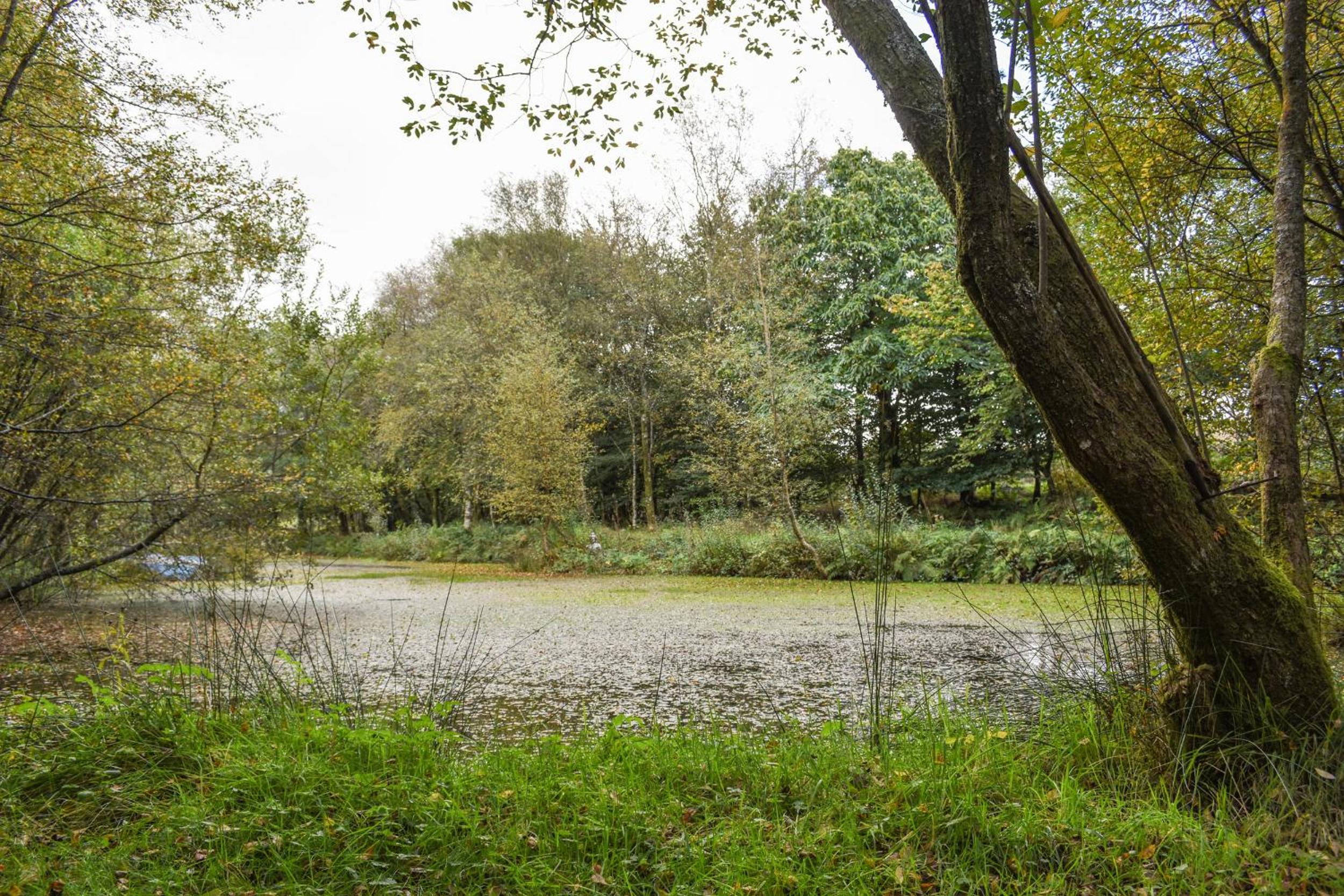 The Linhay