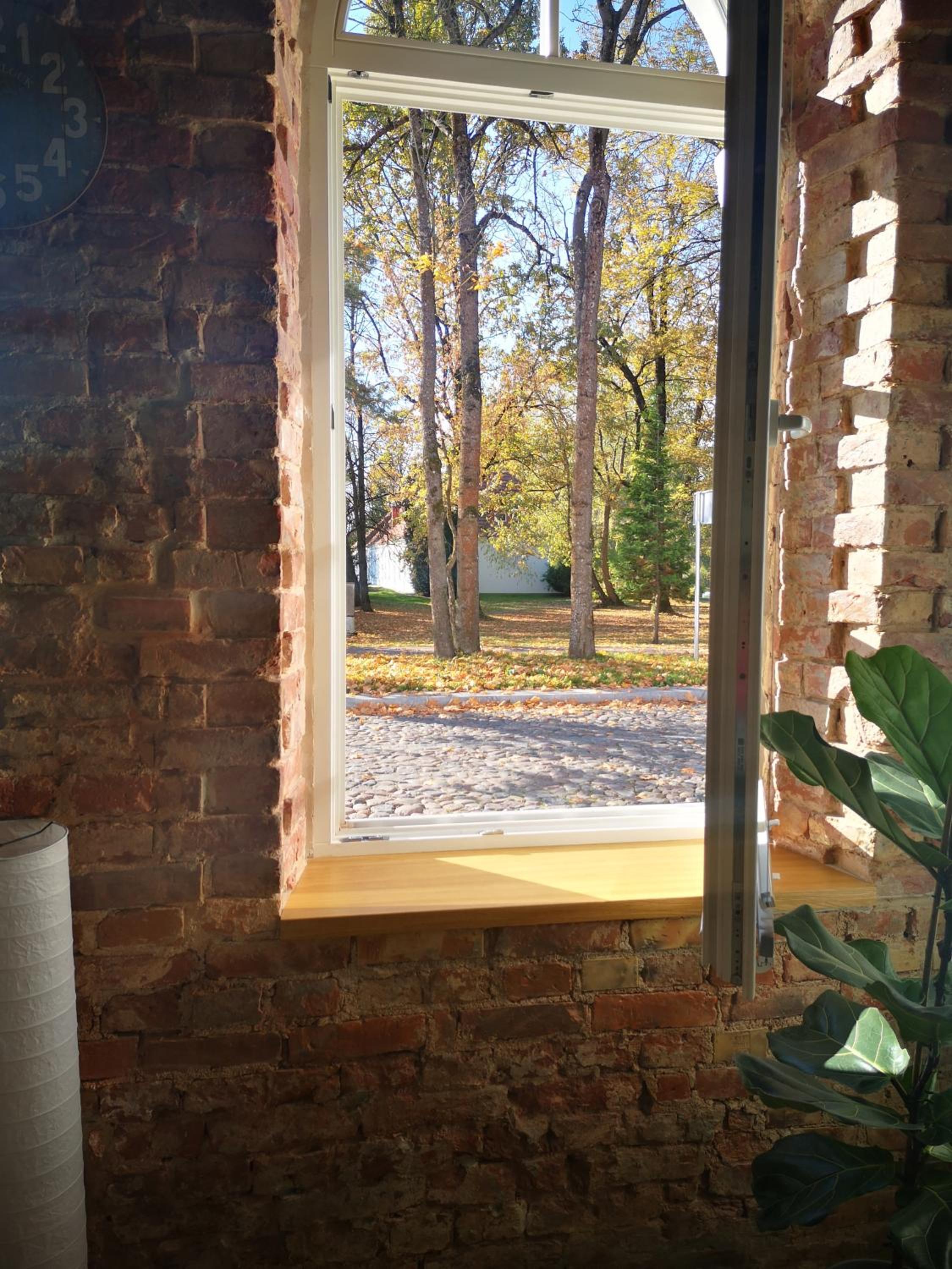Botanical Garden Studio view 4