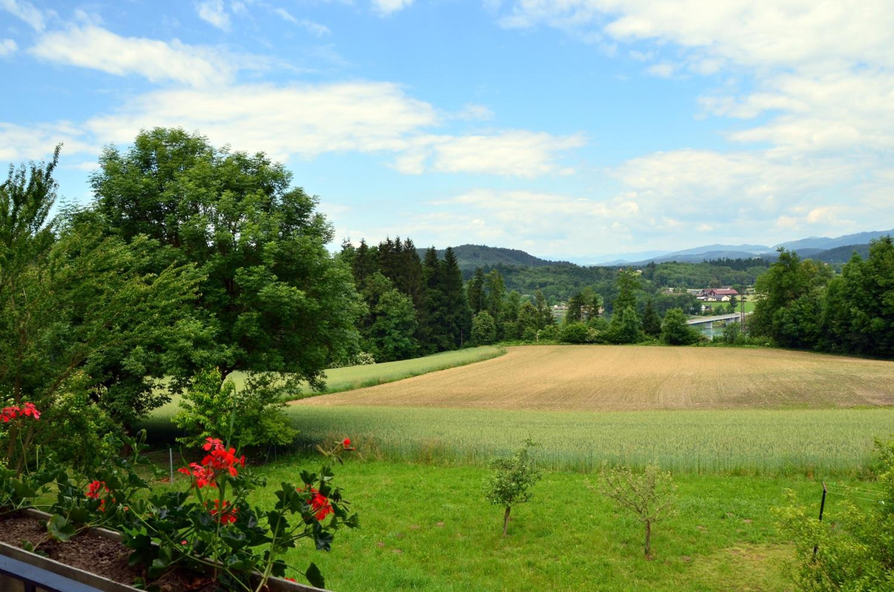 Erlebnisbauernhof Pension Waschnig view 4