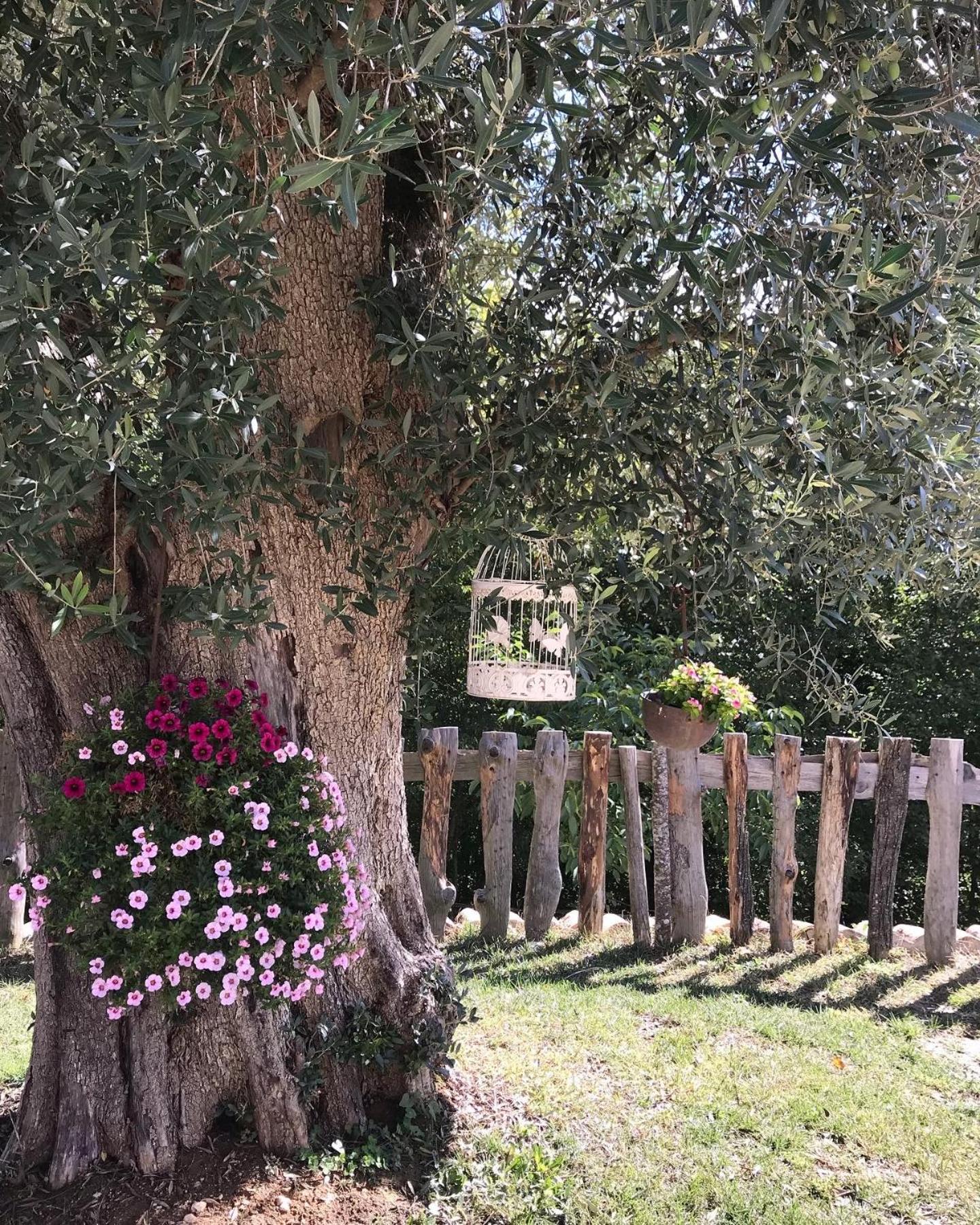 Agriturismo Le Faeta