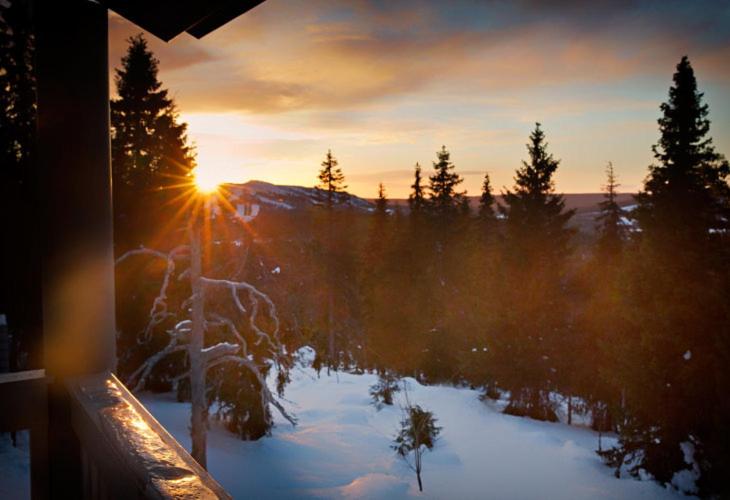 Kotamäki A