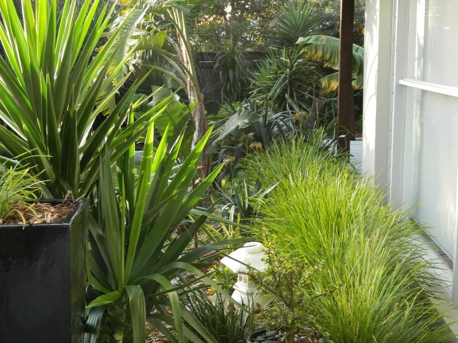 Beachside Rosebud Retreat with Wheelchair access
