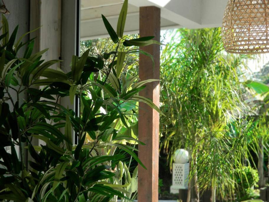 Beachside Rosebud Retreat with Wheelchair access