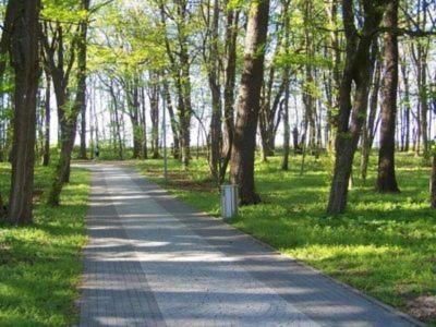 Apartamenty Prywatne w Hotelu przy plaży DIVA Kołobrzeg view 4