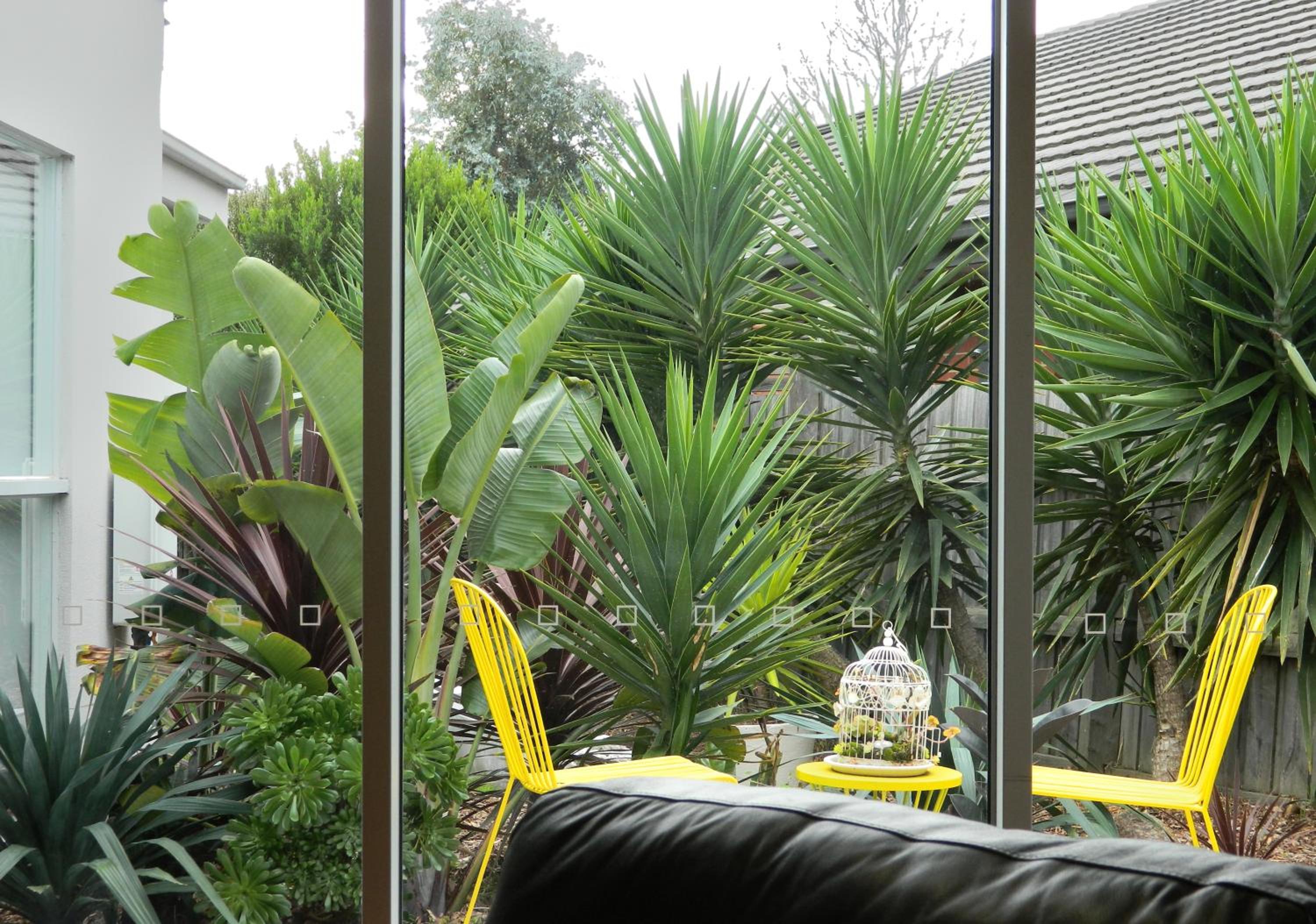 Beachside Rosebud Retreat with Wheelchair access