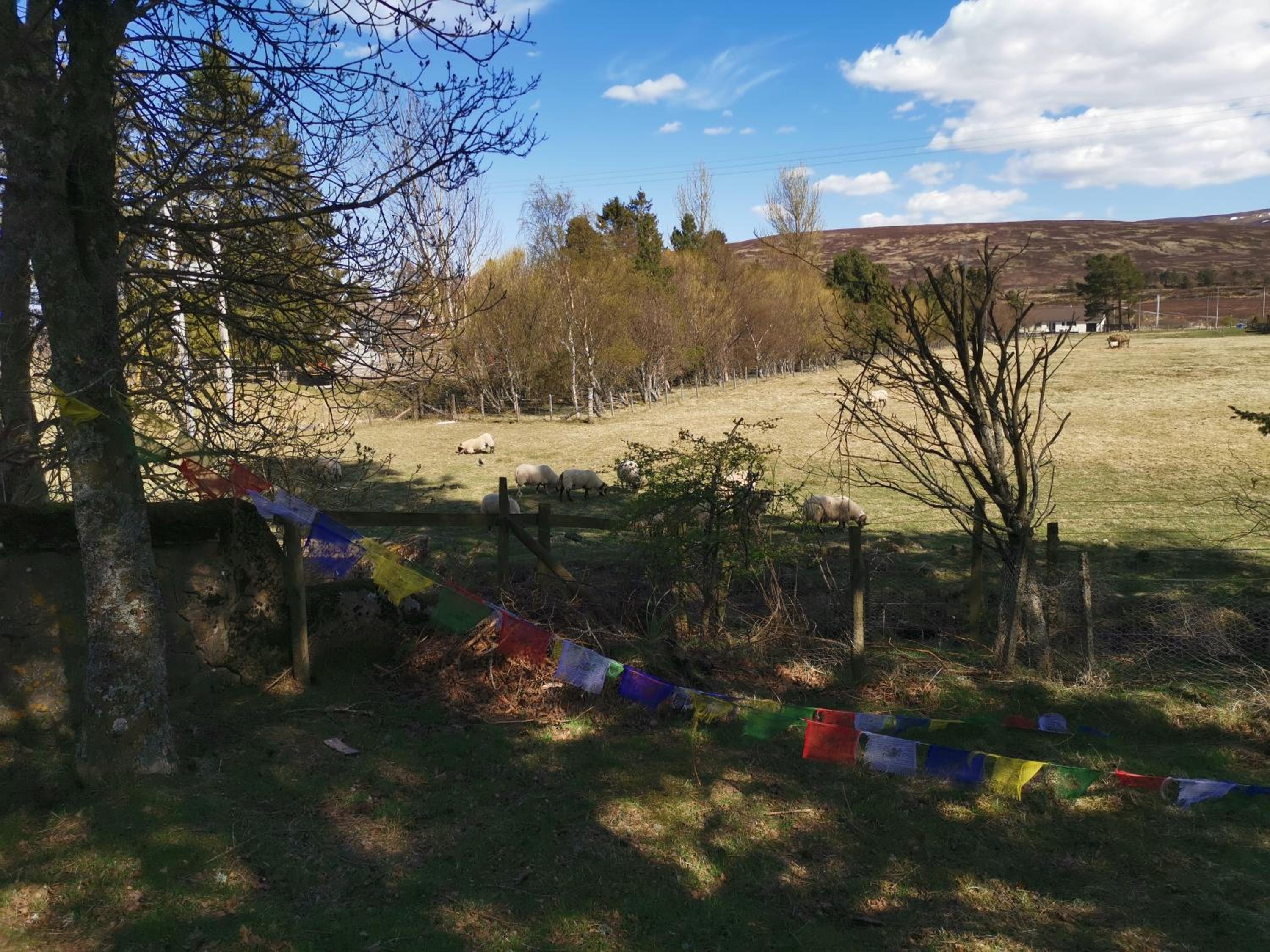 Photo 26