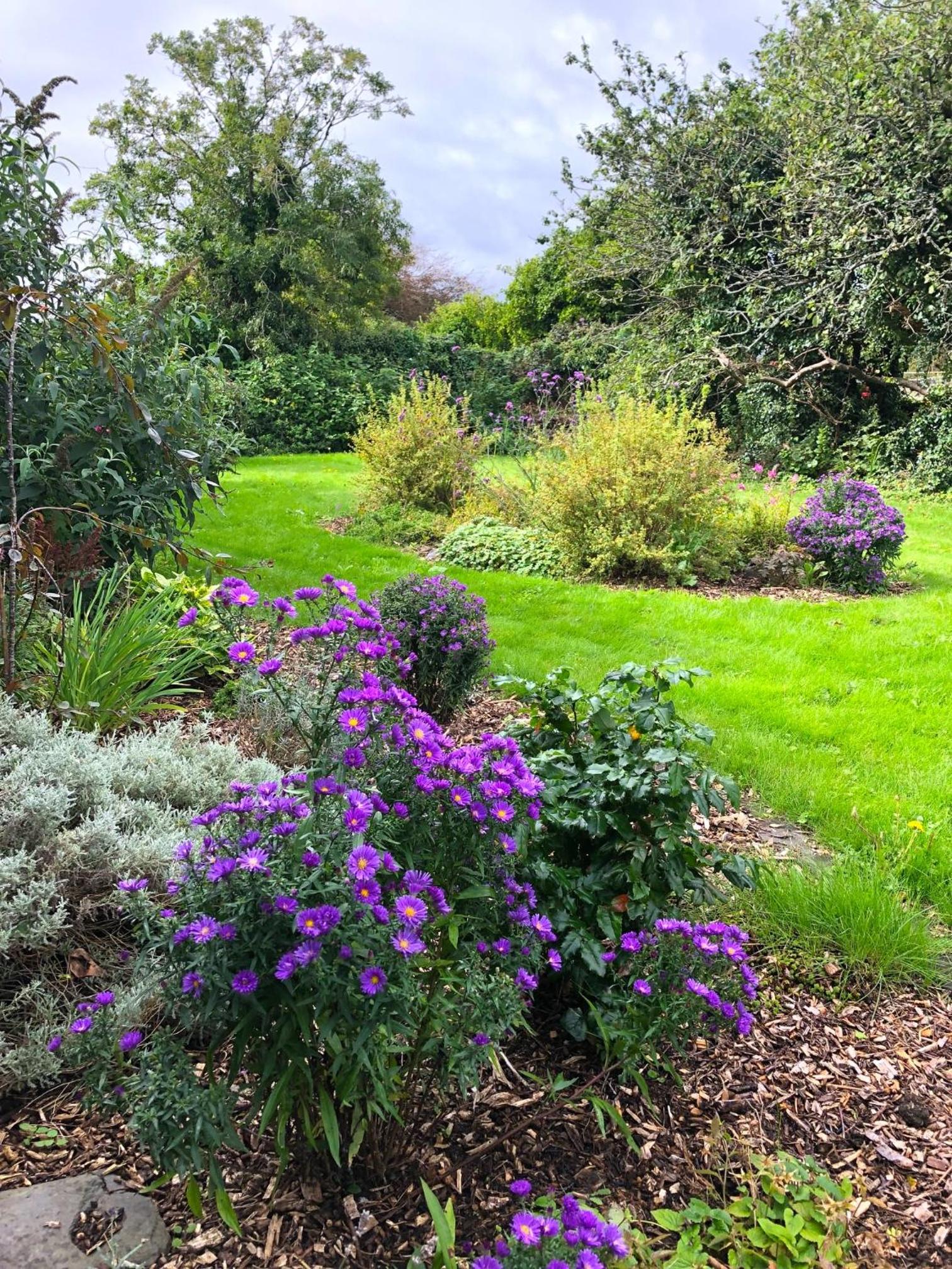 Dingle Garden Townhouse view 2