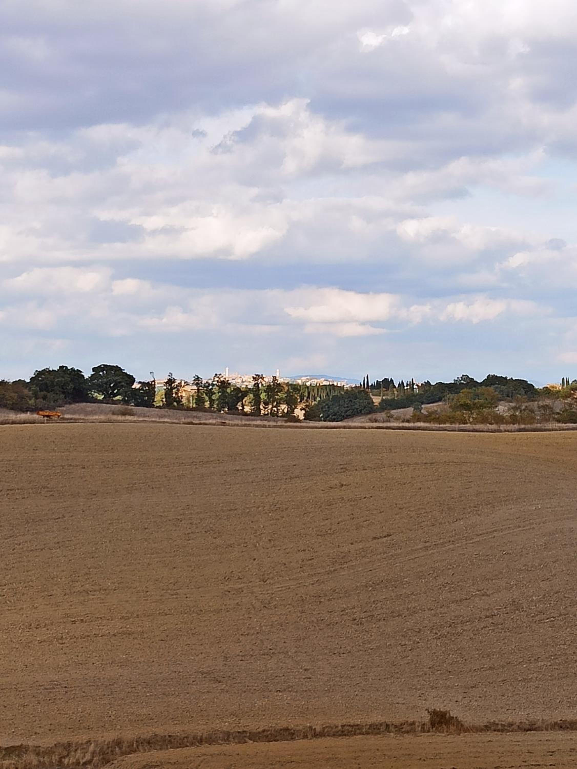 Podere Cartaio Bio Farm, private pool, AirC