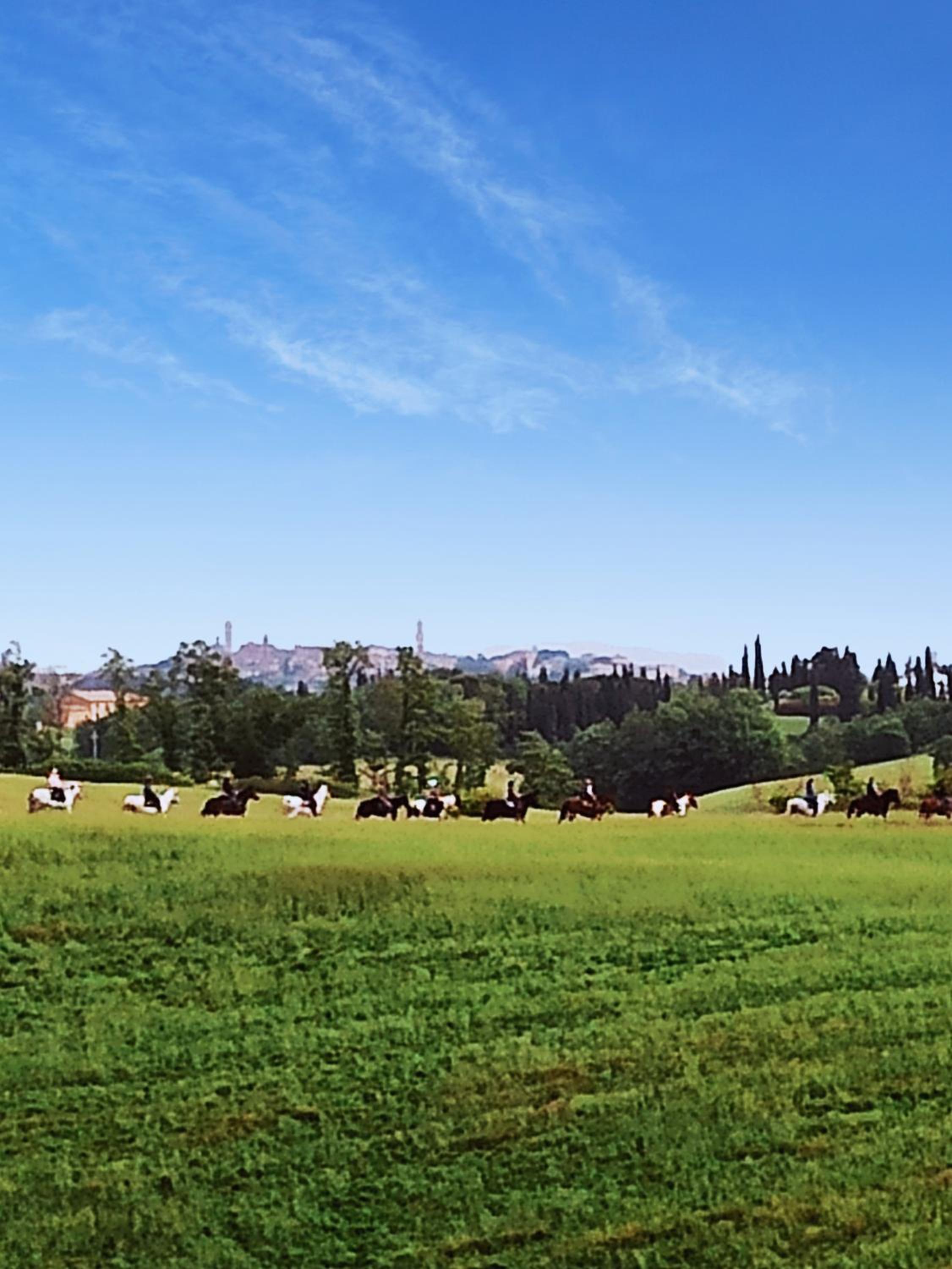 Podere Cartaio Bio Farm, private pool, AirC