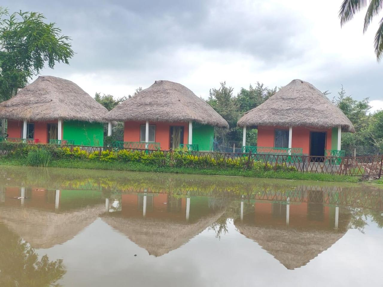 Nature Camp Bhitarkanika Retreat view 2