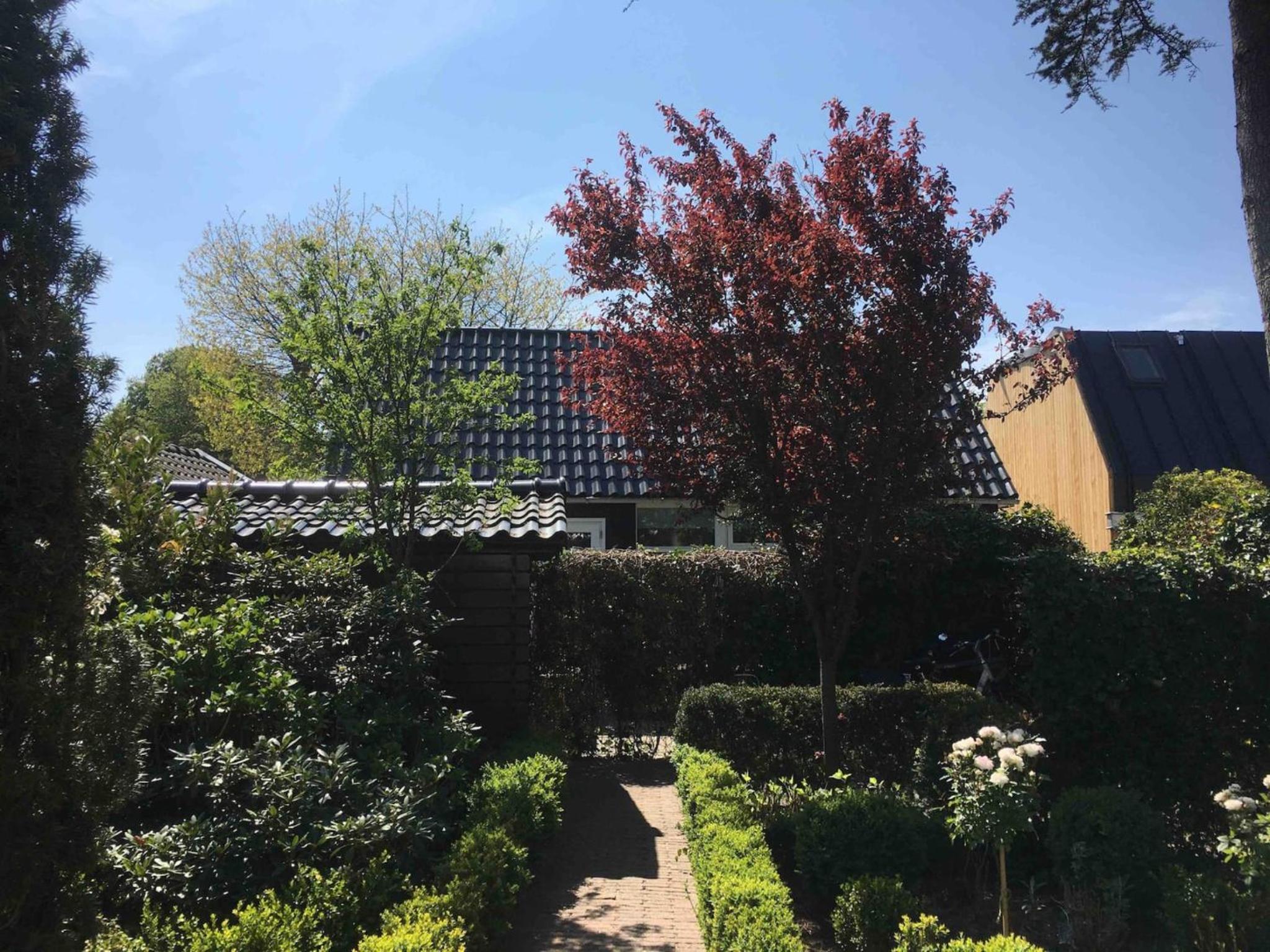 Appelbloesem view 3