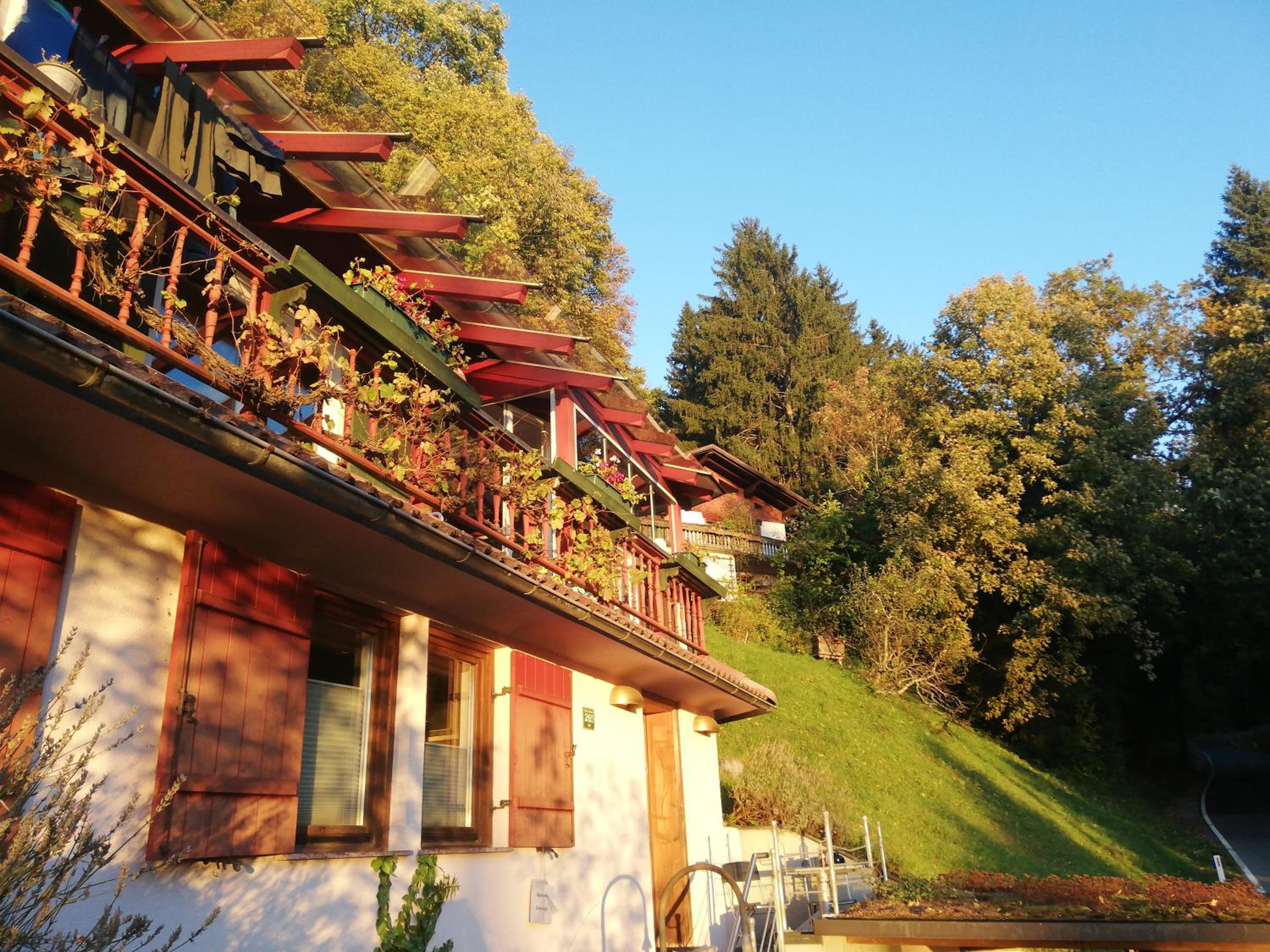 1 ZI Appartement Zauberwald
