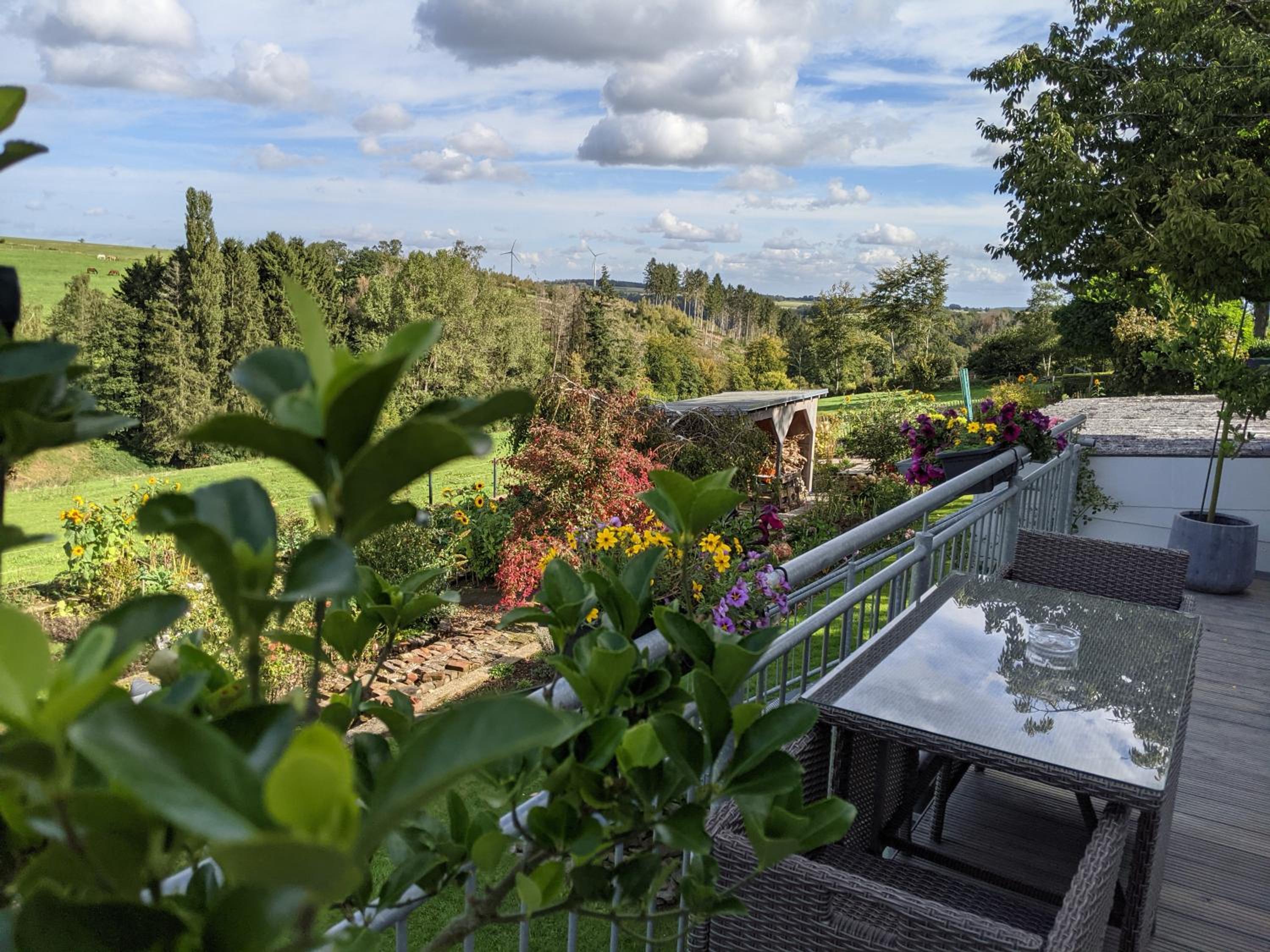 Eifel-Ferienhaus Landblick