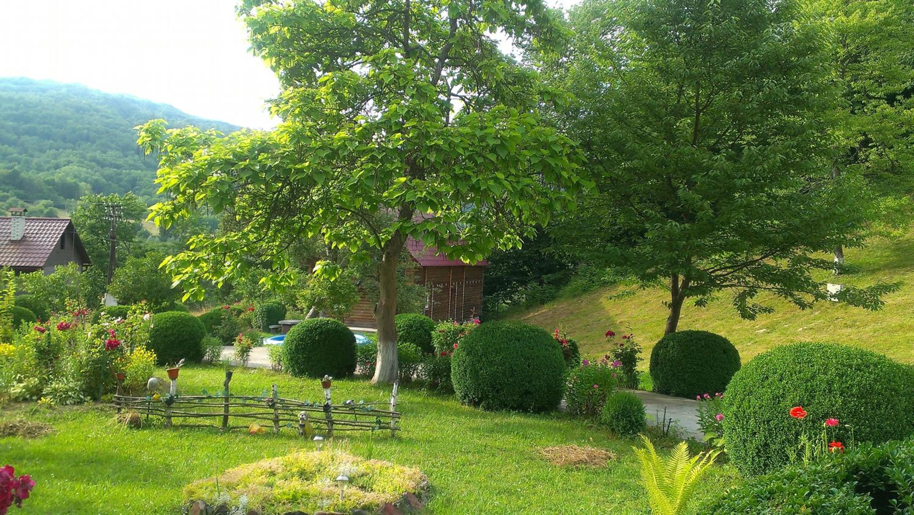 Kvasnyi