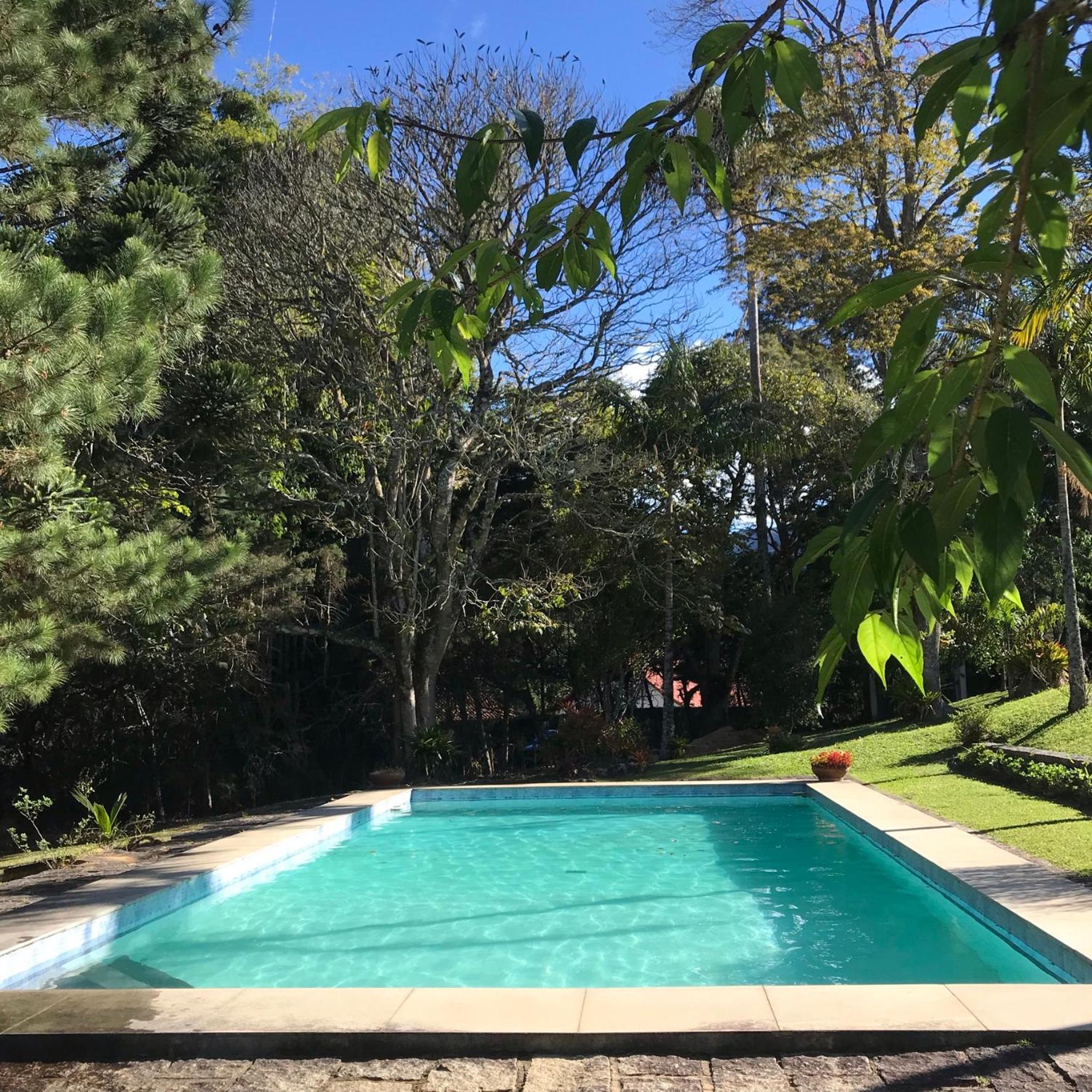 Pinheiros do Rocio