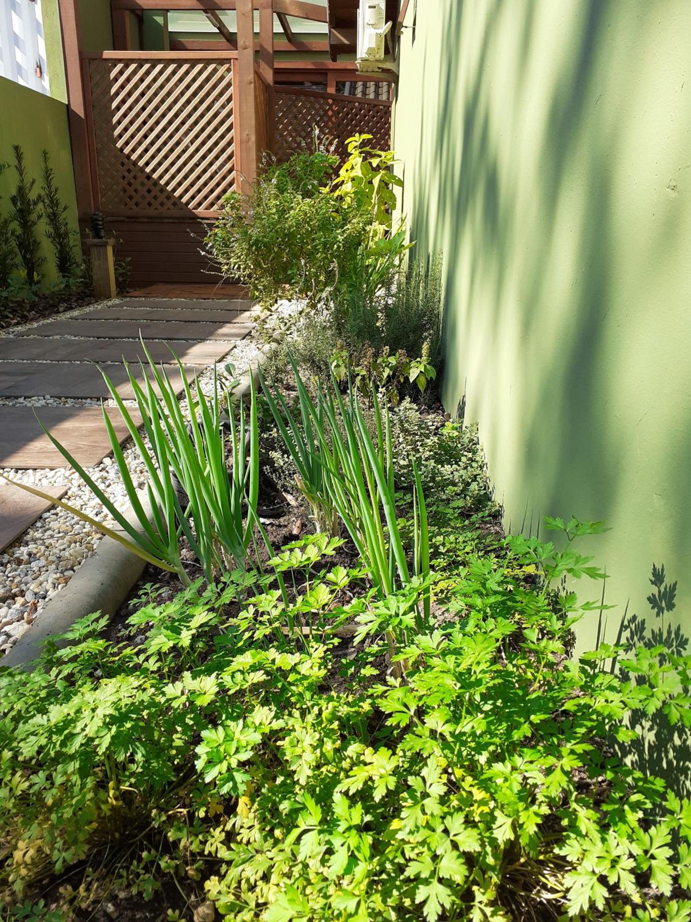 Vila Figueiredo das Donas