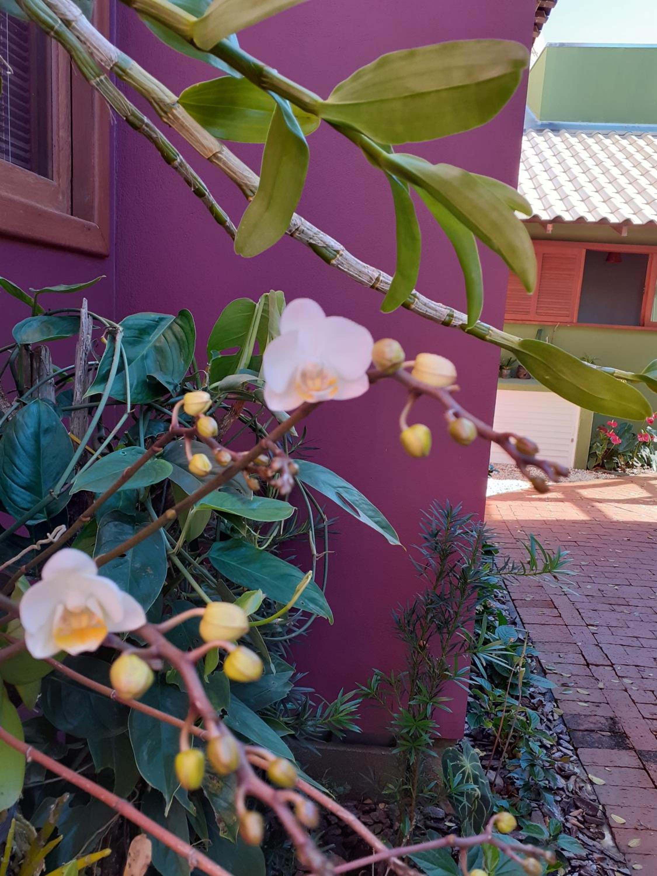 Vila Figueiredo das Donas