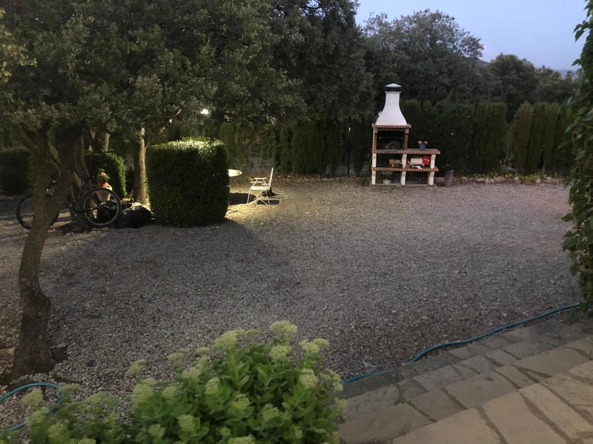 Photo 15