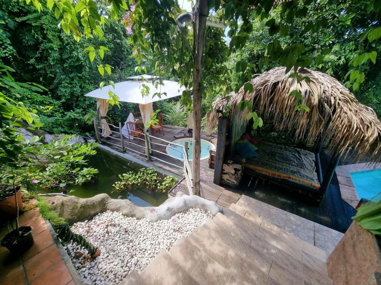 Racoon Lodge view 2